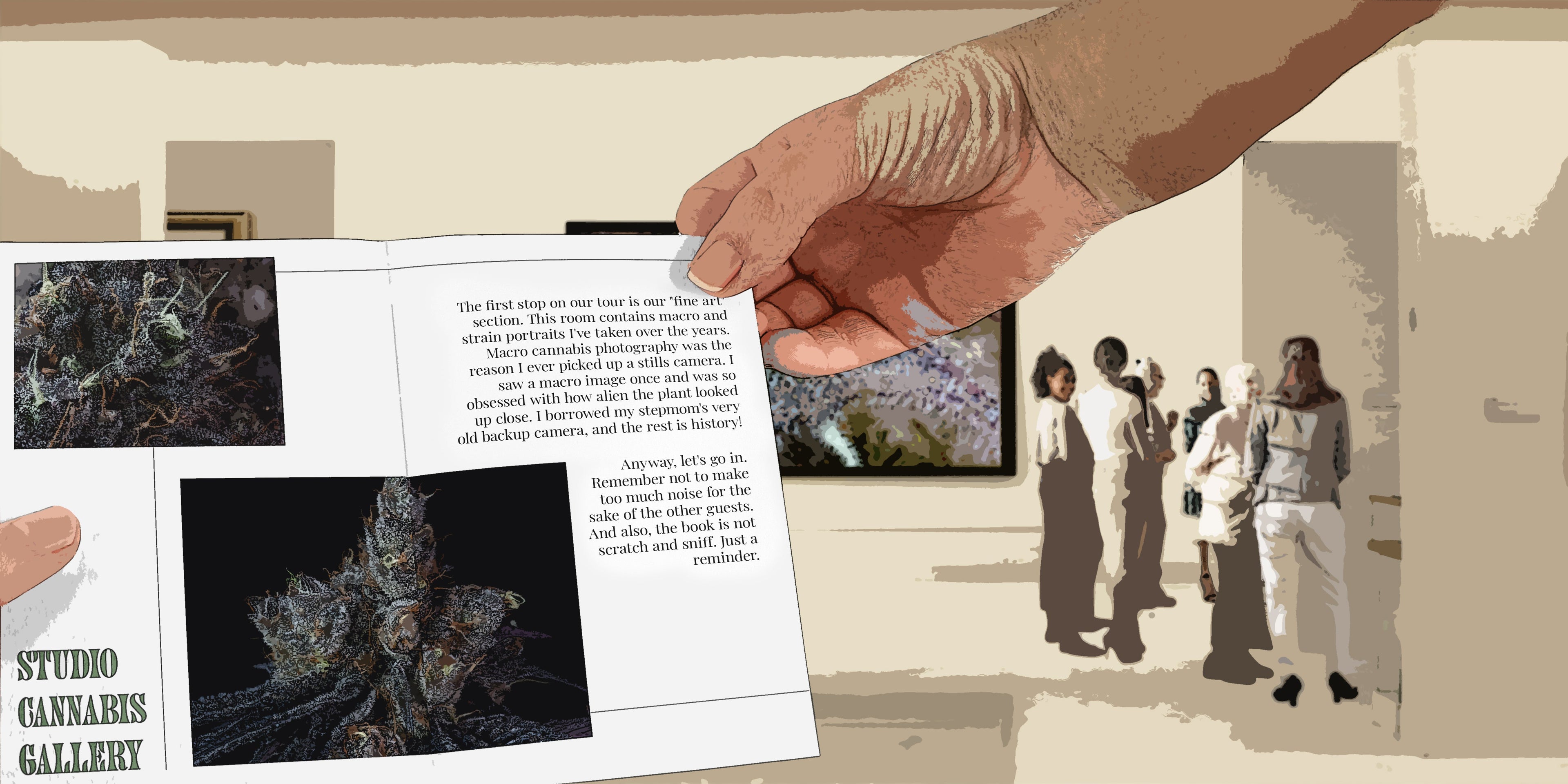 Cannabis Photography Gallery