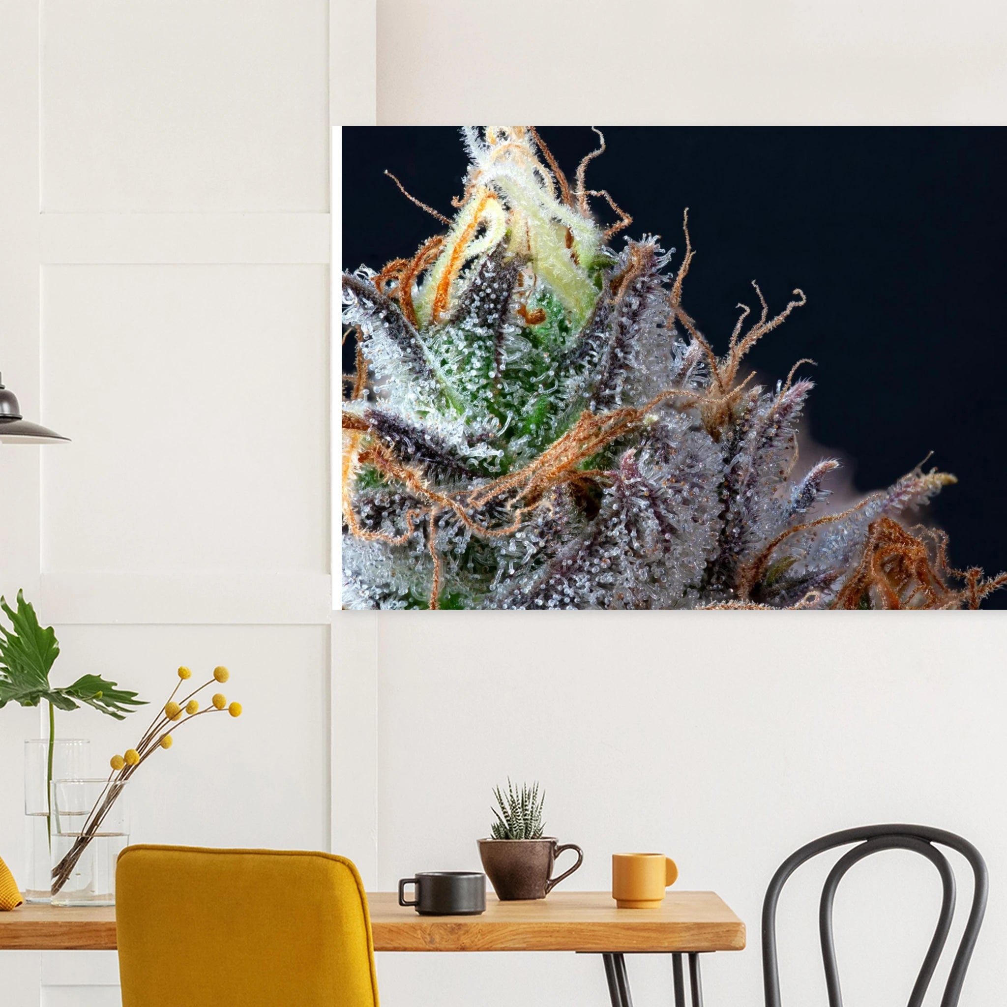 00f32fb6-fce2-4dae-80c4-e9fdf25887ba