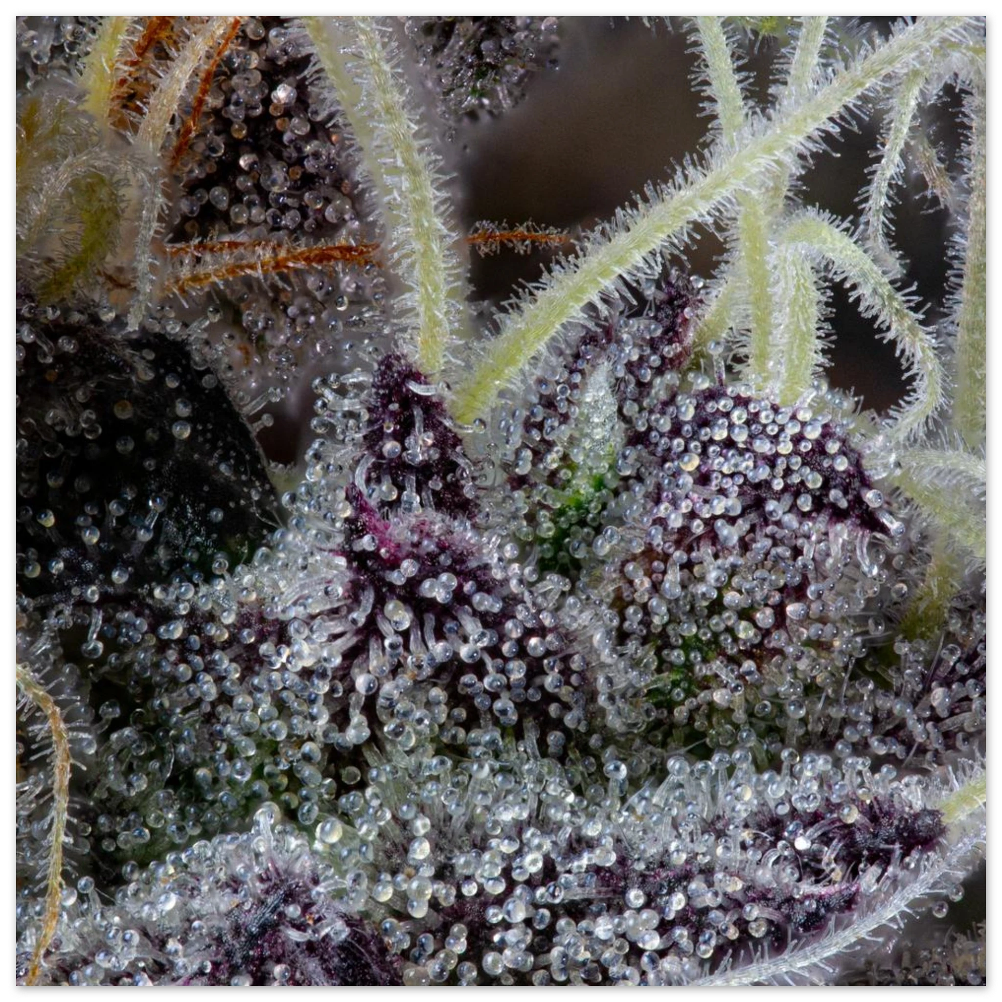 011d3e6b-2911-4ea8-9428-c7e6668b88af