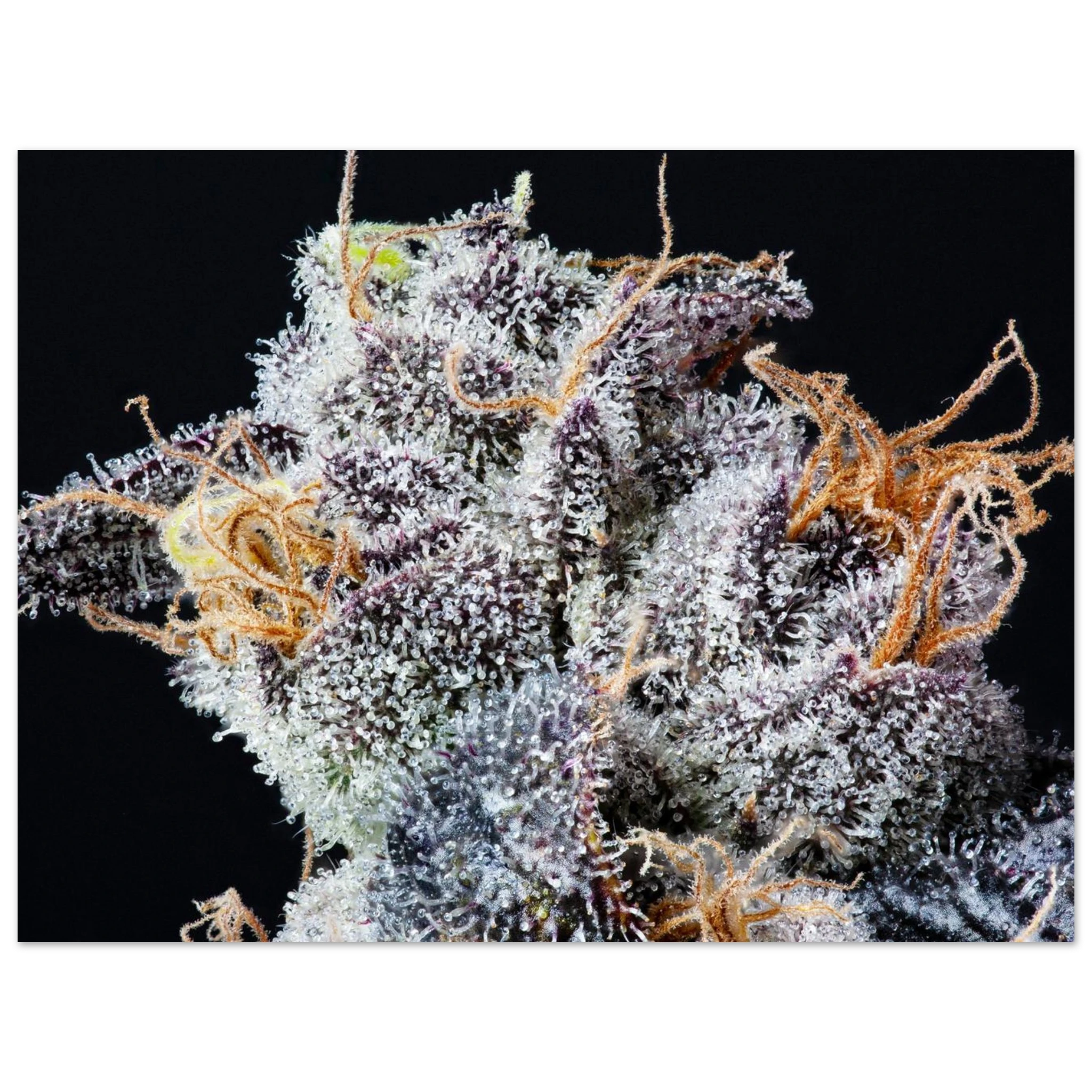 01af5fe0-df4f-4329-bee2-aa2f57befe71