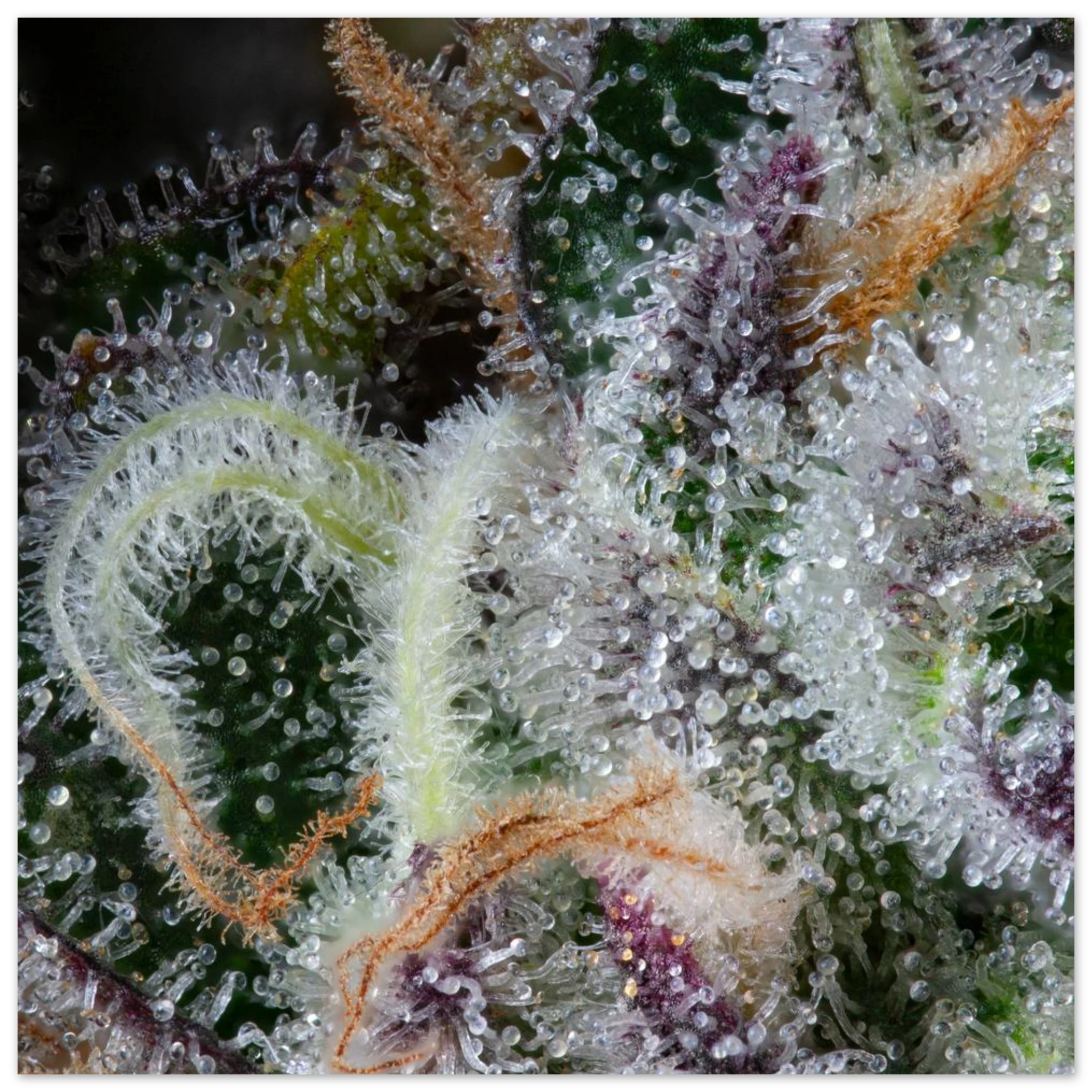 05b29486-3a4e-413d-bb39-f08f7dc41e10