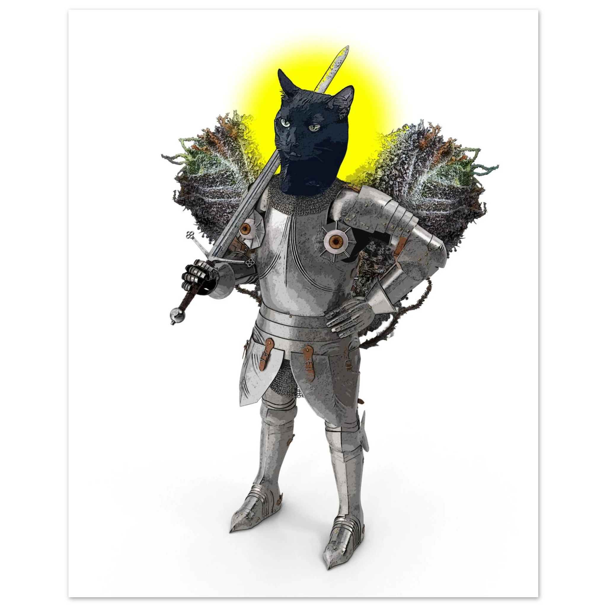 0678046b-befa-4ac8-99ba-4639bd26bf0e