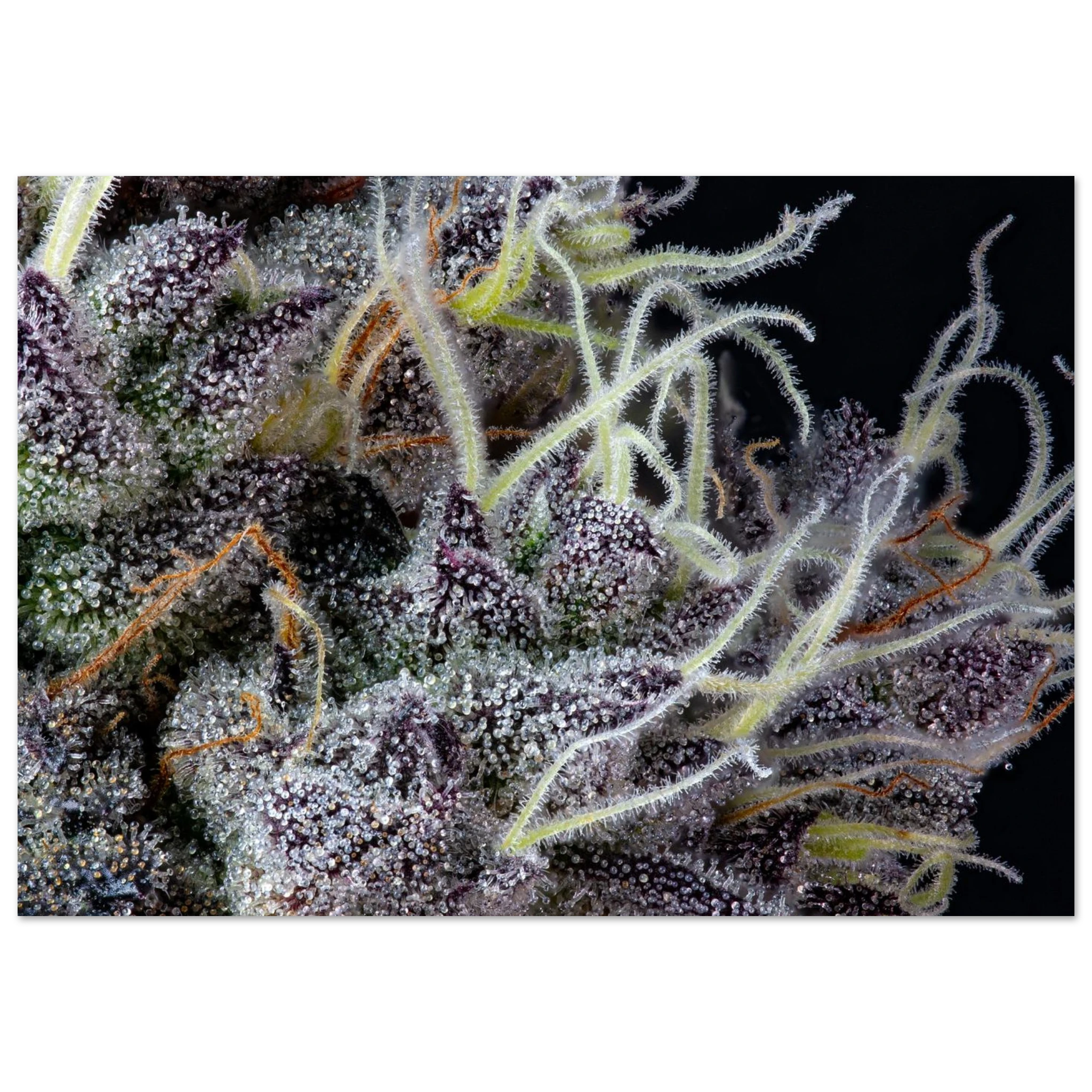 083ffb41-ba43-4f75-a6eb-aa752d937501