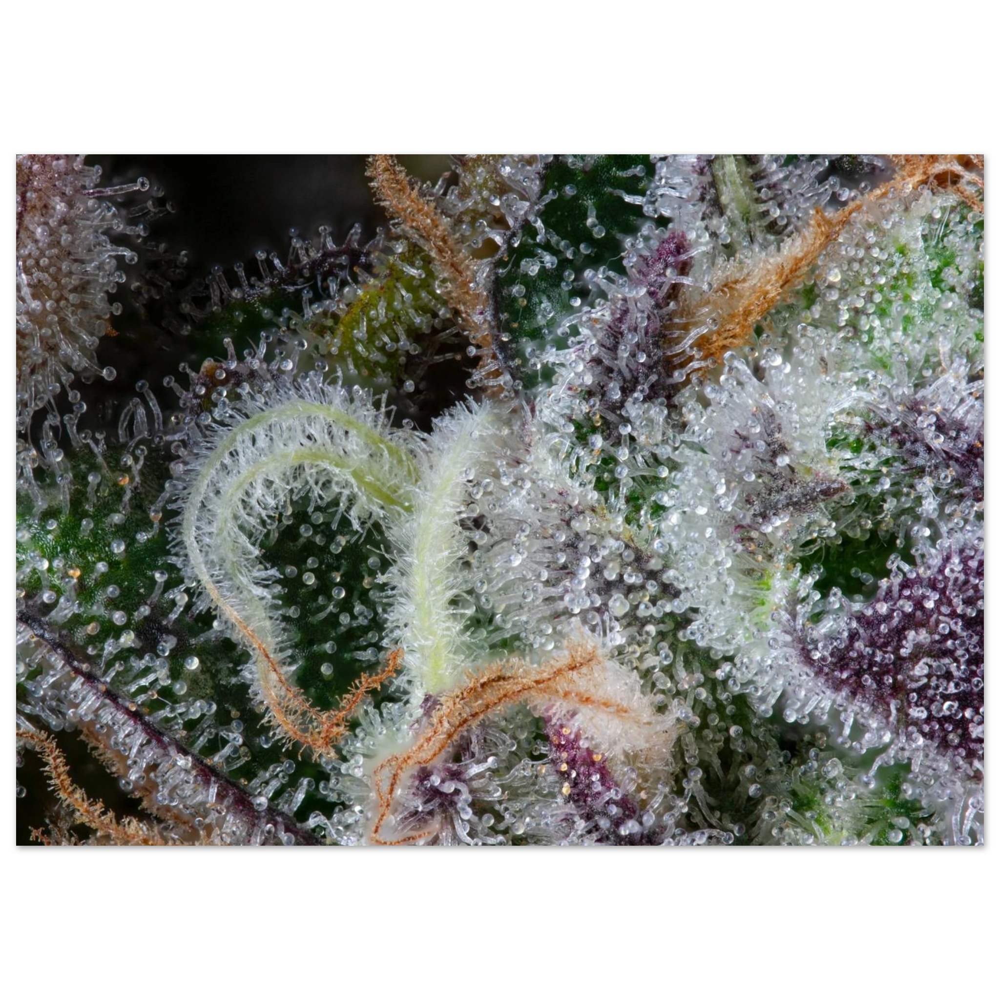 09f98404-3667-4fe9-b564-e7685153b7f5