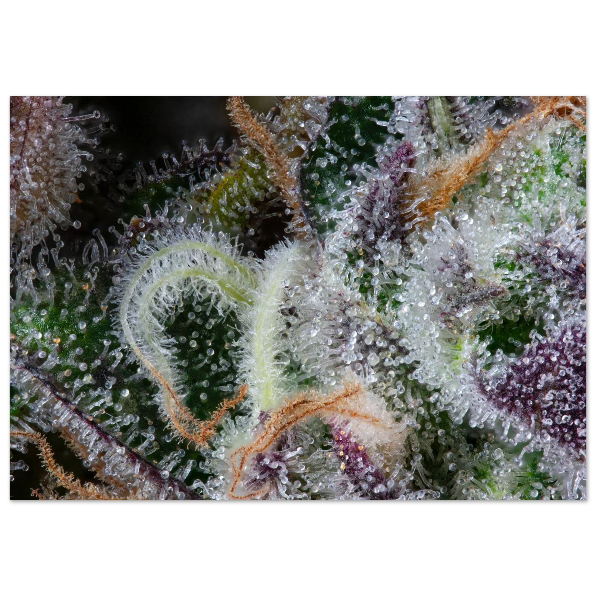 0beb7d13-885d-4d9c-a7be-446feec04e10