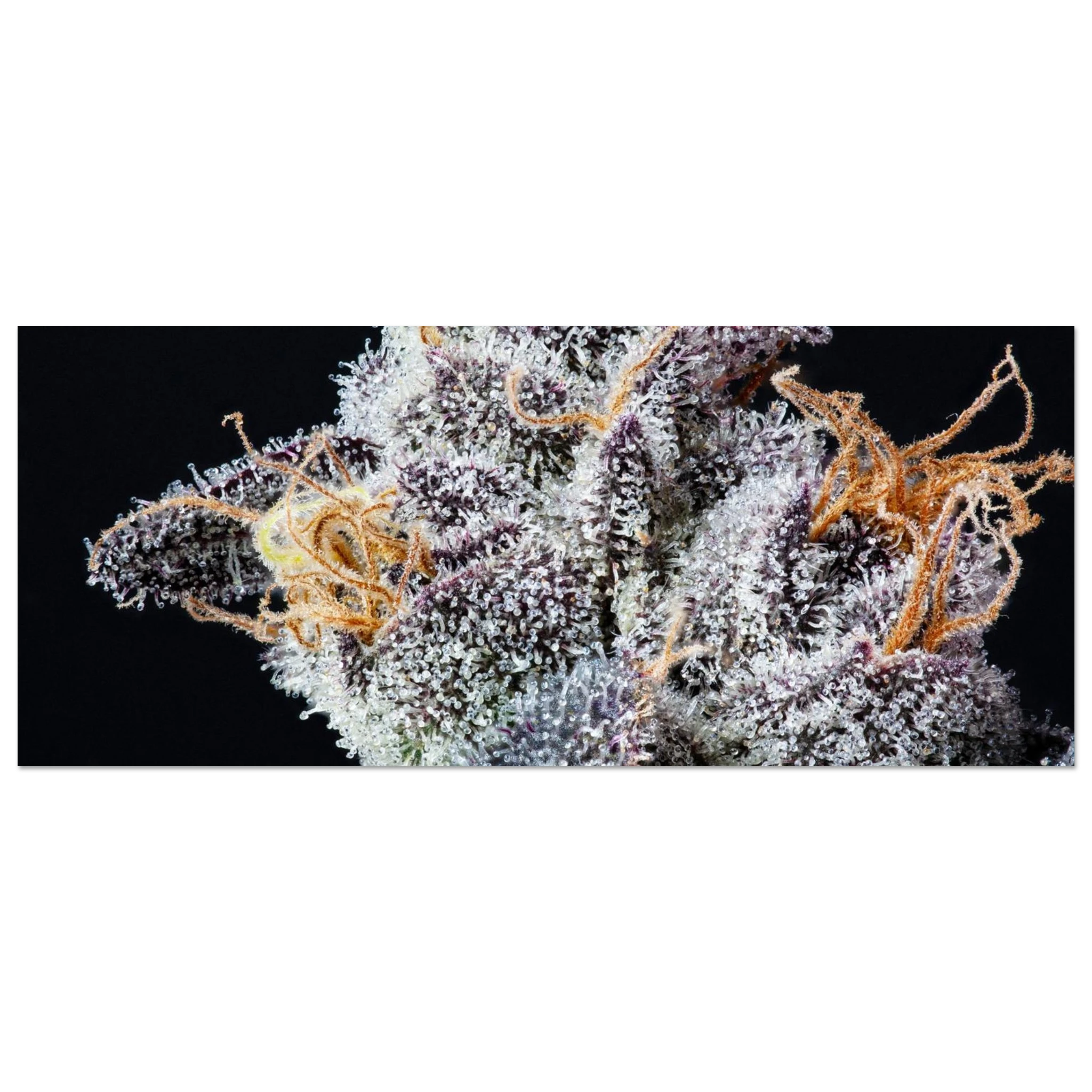 0c21478a-019f-4764-ba9c-2bdb137ee43d