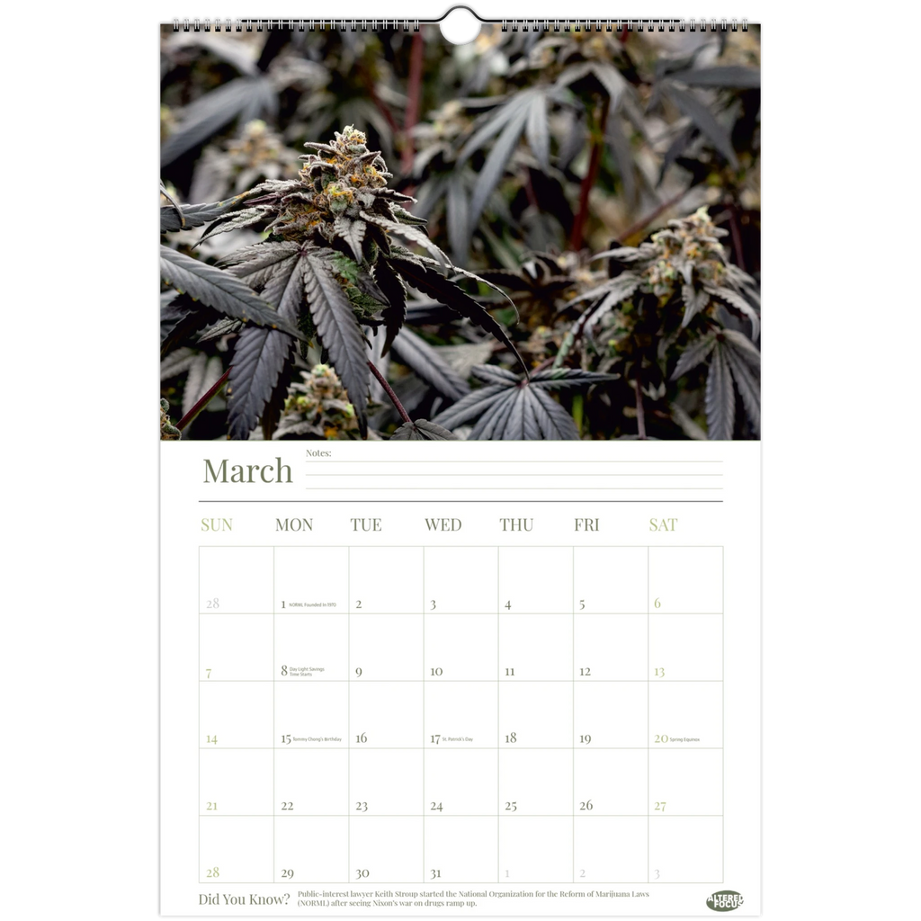 0dadb147-d4ee-4753-b465-f6b8da481012