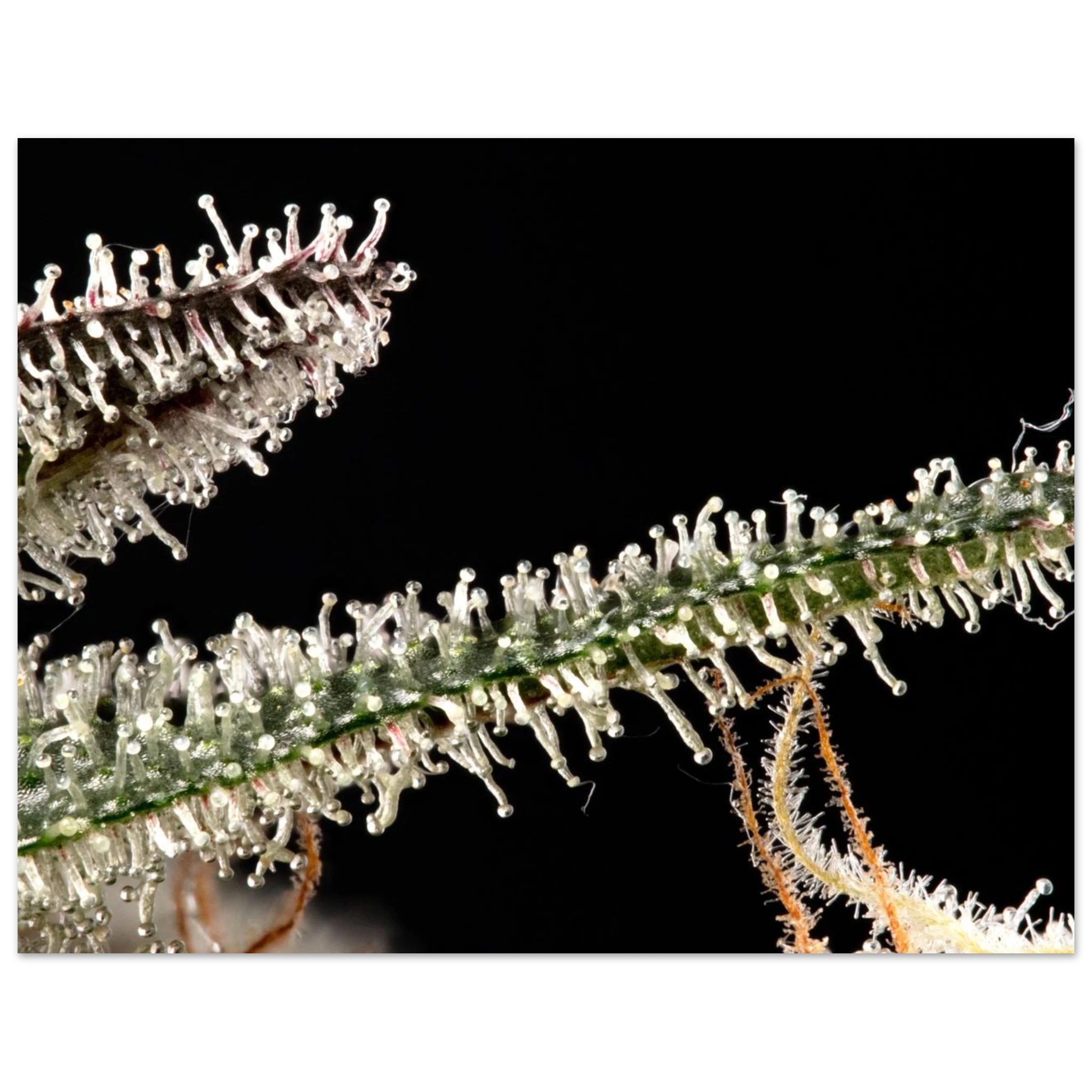 0ef32acf-920f-475a-8c0e-b95231ad9afc