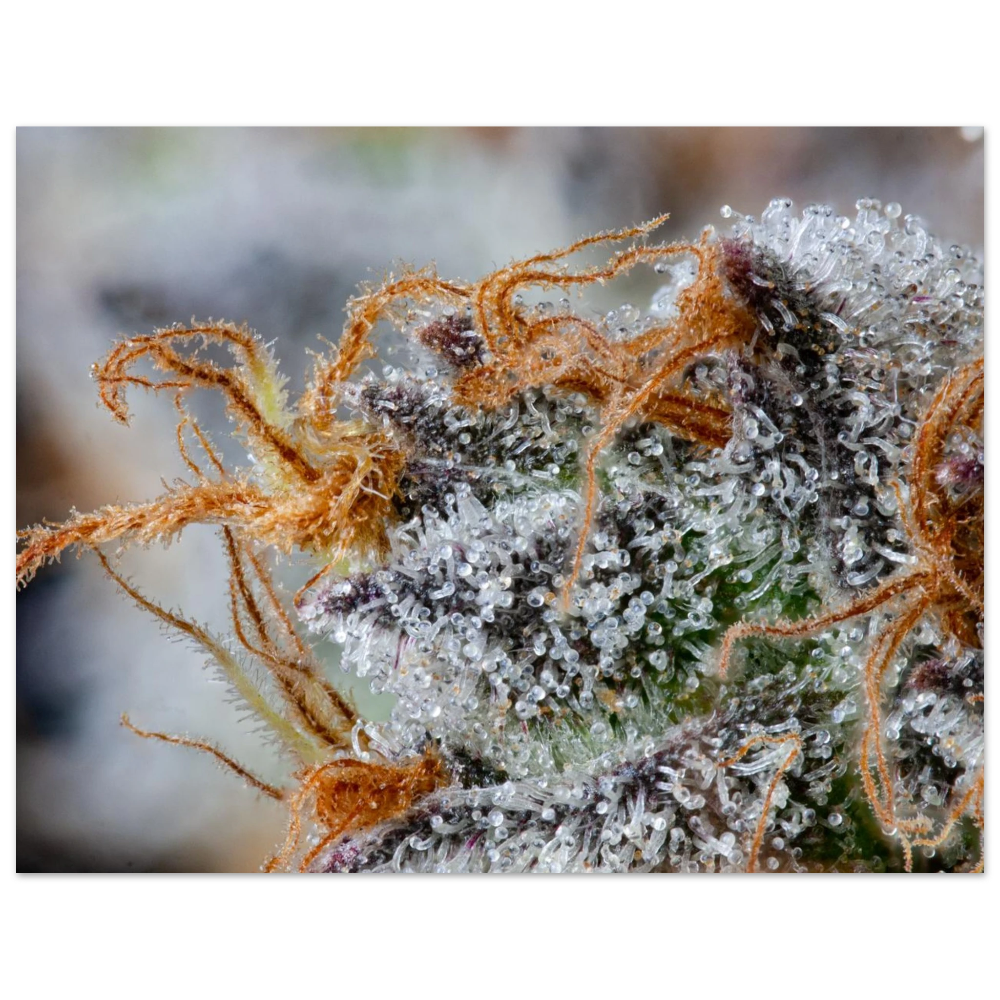 0f79f7b9-eb93-4679-a8c6-afa1b34a8665