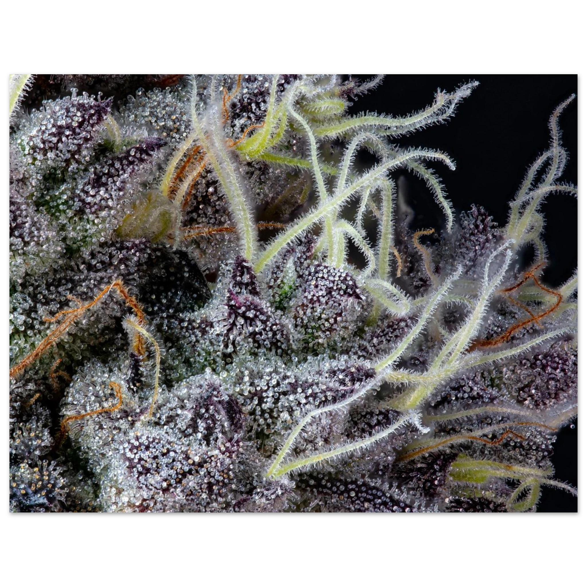 0f83d069-c955-42ce-9b01-736963b54b7e