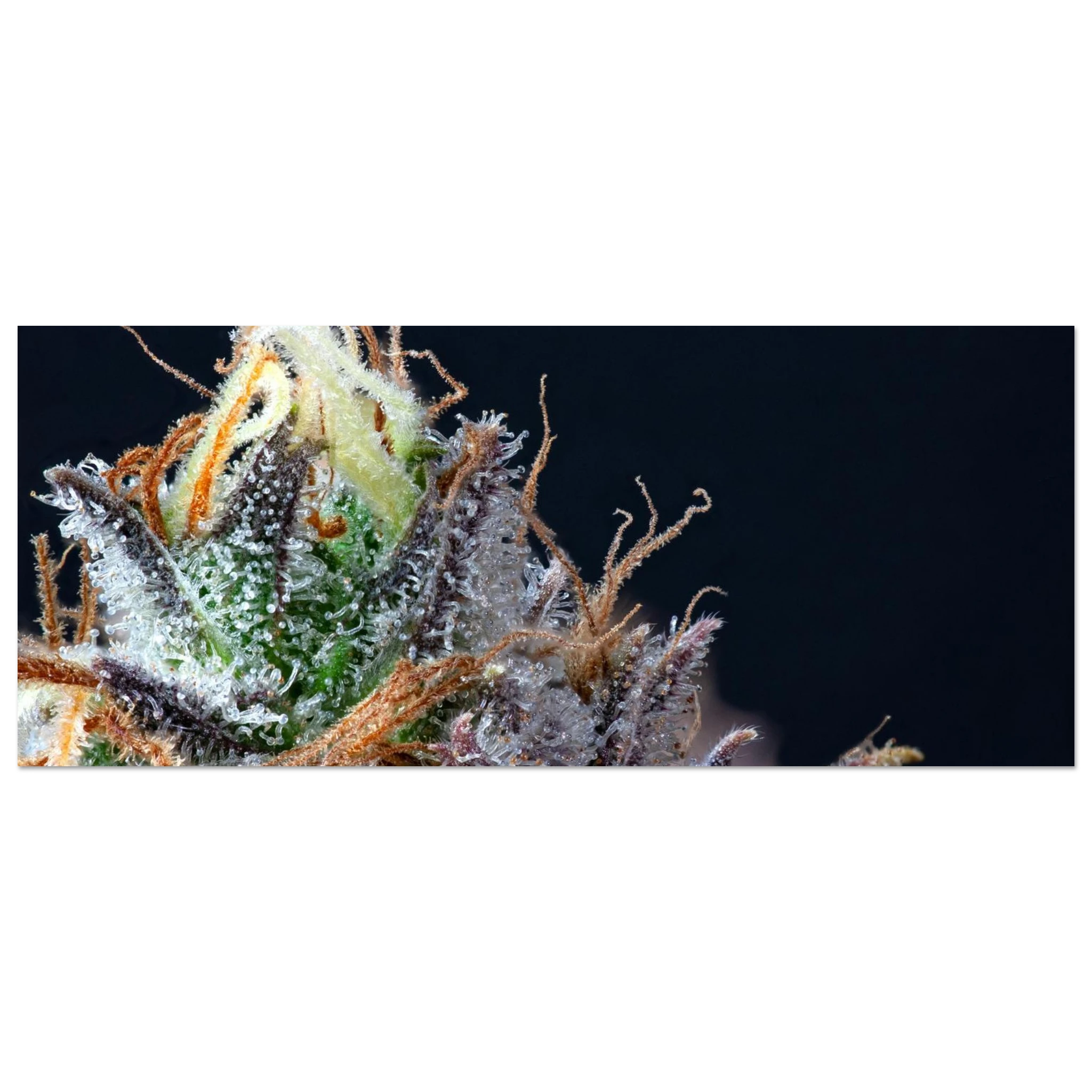 118b2a13-2216-457b-bcd6-4eeaa9d9fb5e