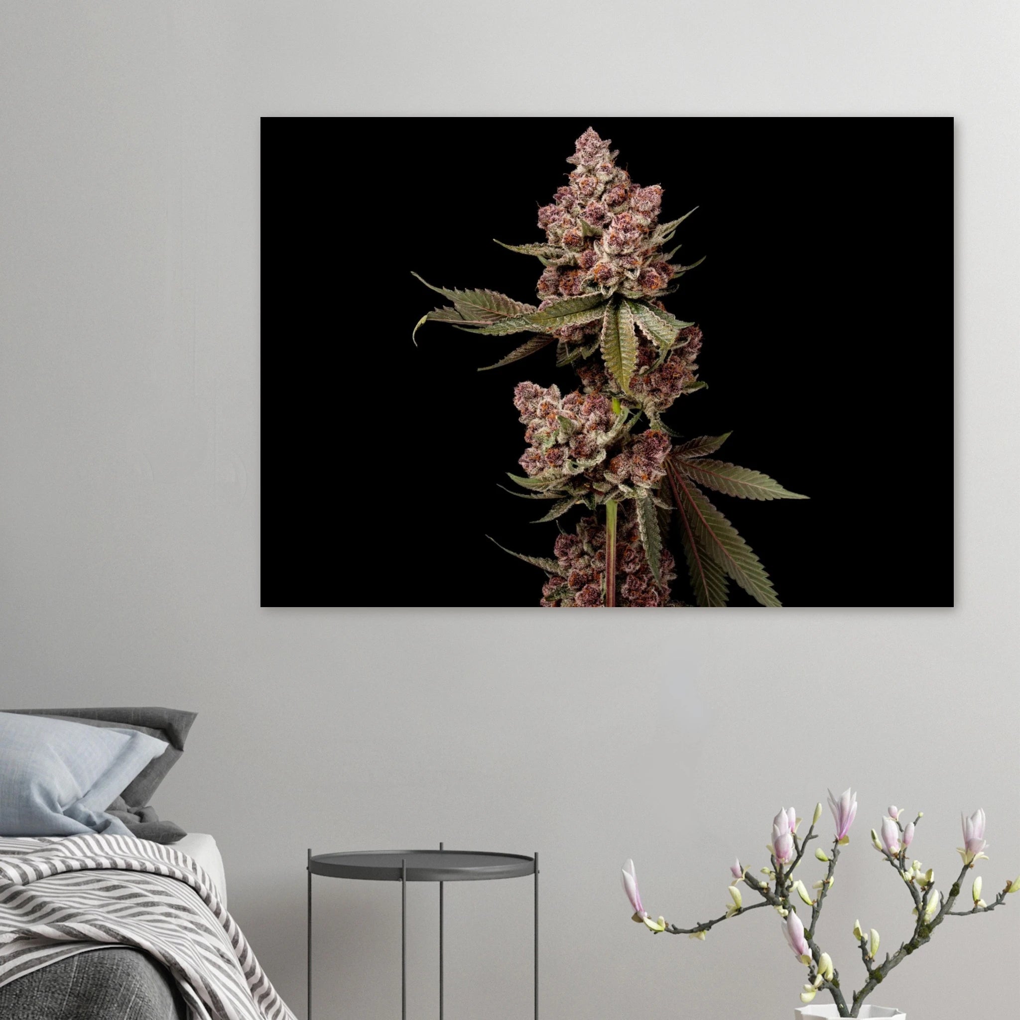 18eb5060-34a2-4c66-bf35-6db15cc04866