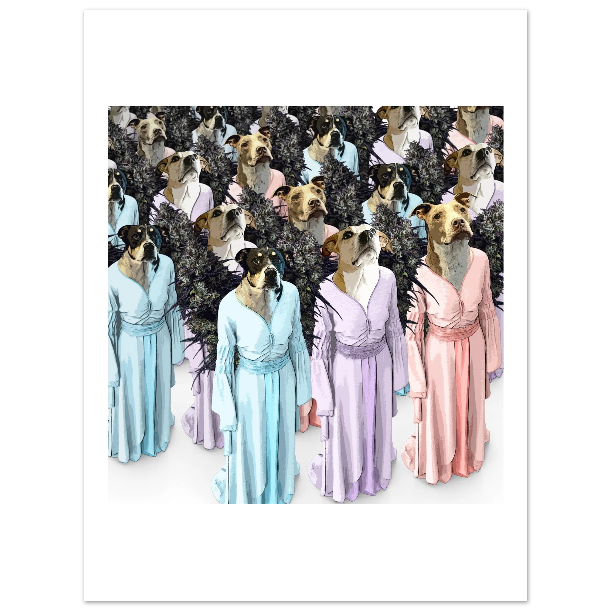 1b0d80b5-2b63-4e2e-98cd-bb979f3e4bde