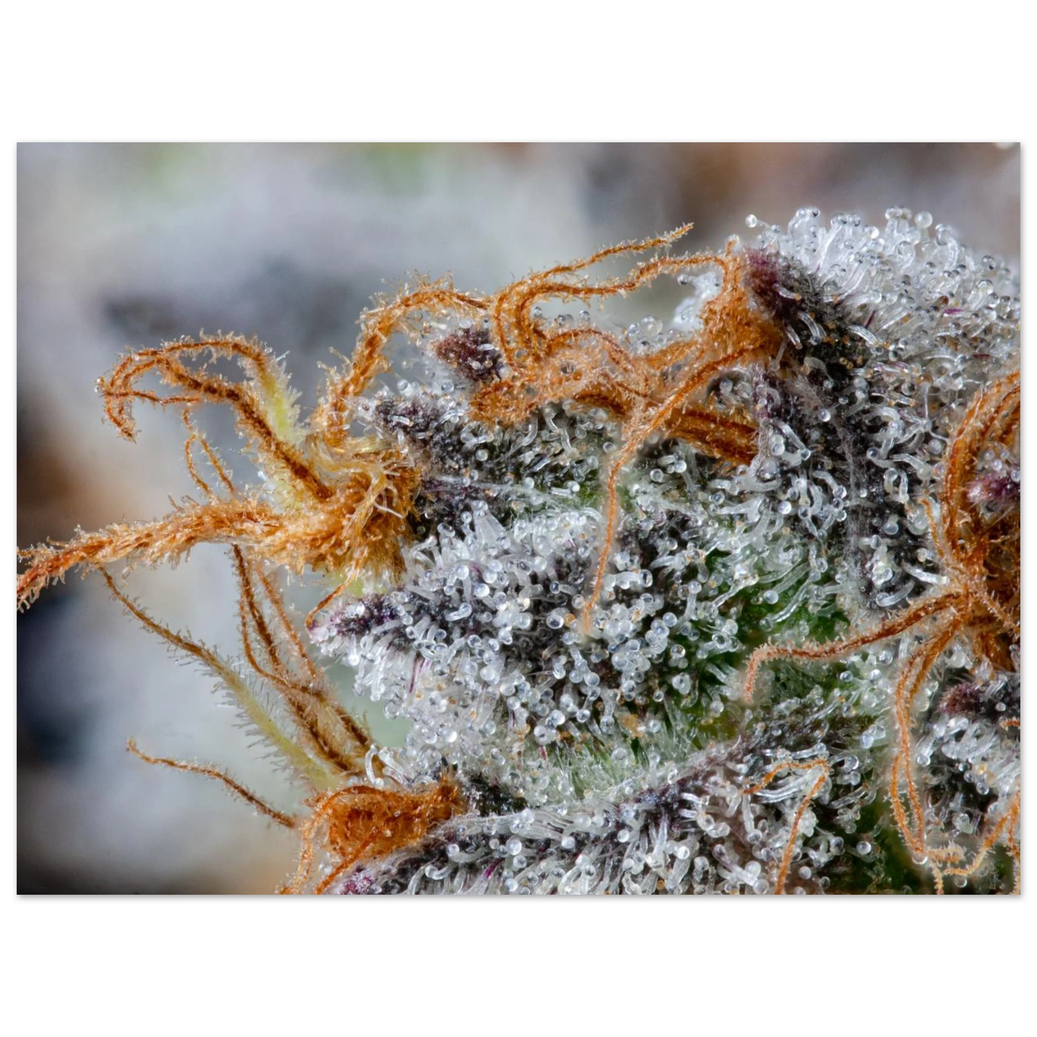 1b22a8ab-226b-473a-97f7-490b3229f8a6