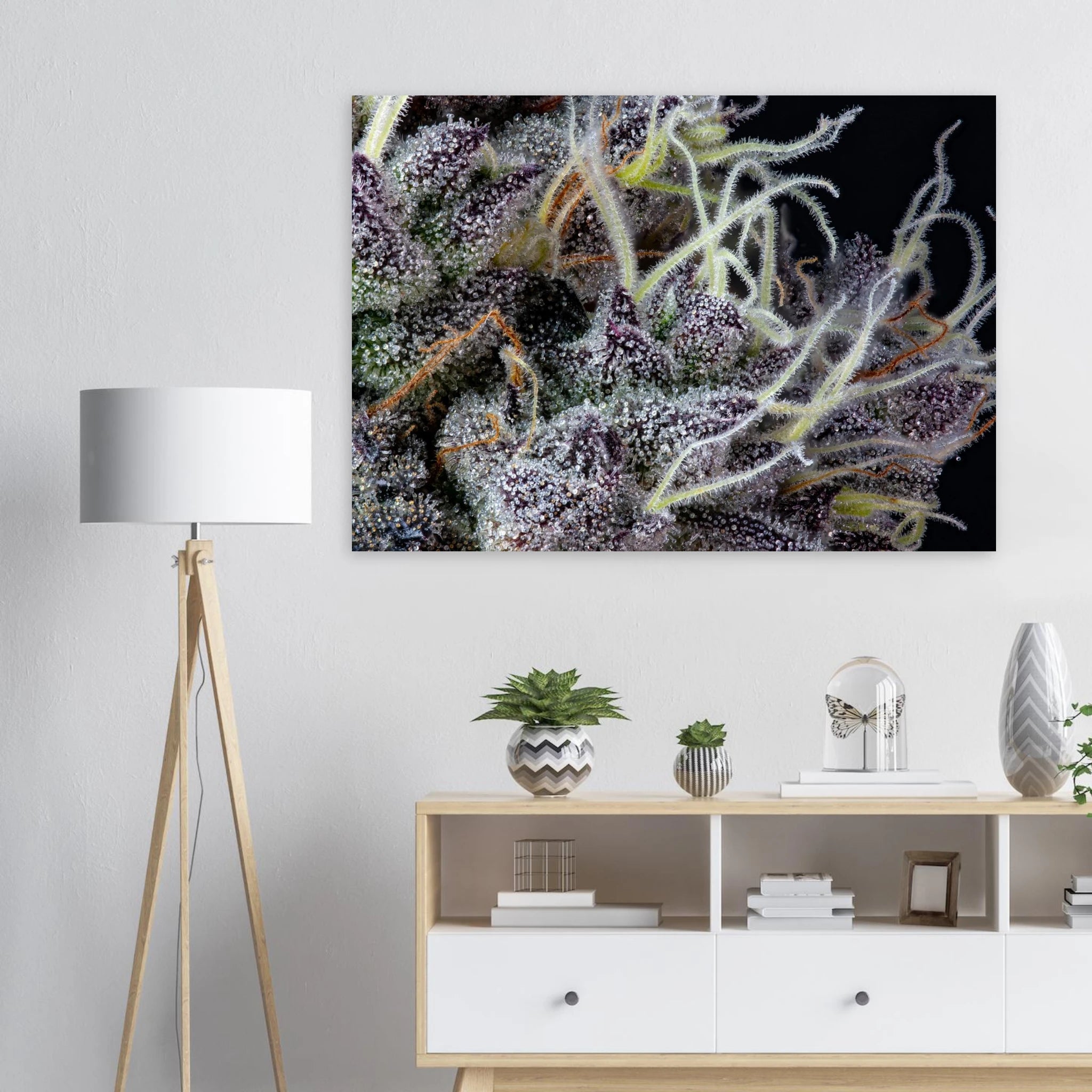 1cefa743-9c55-4923-aea1-6462eb5e6ca0