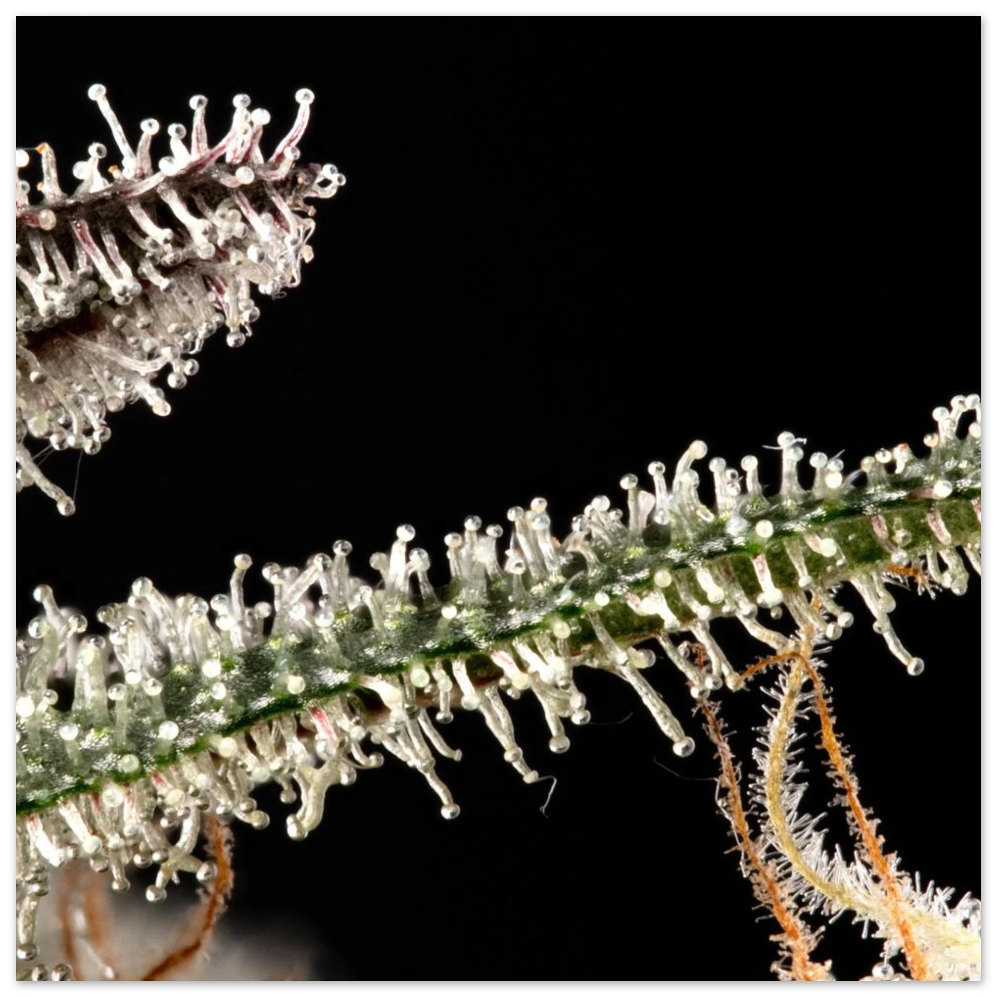 1ea7f767-7933-48e8-adb6-38ff27a589a0