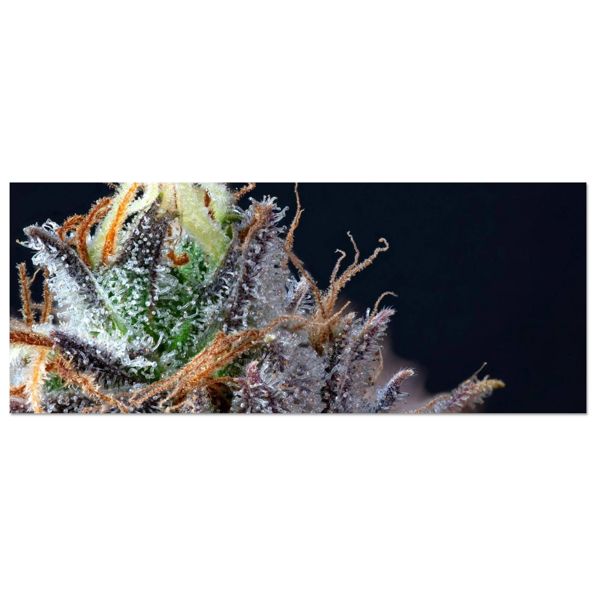 1fc4cd83-e7c8-4a62-9b49-49c52fab4b66