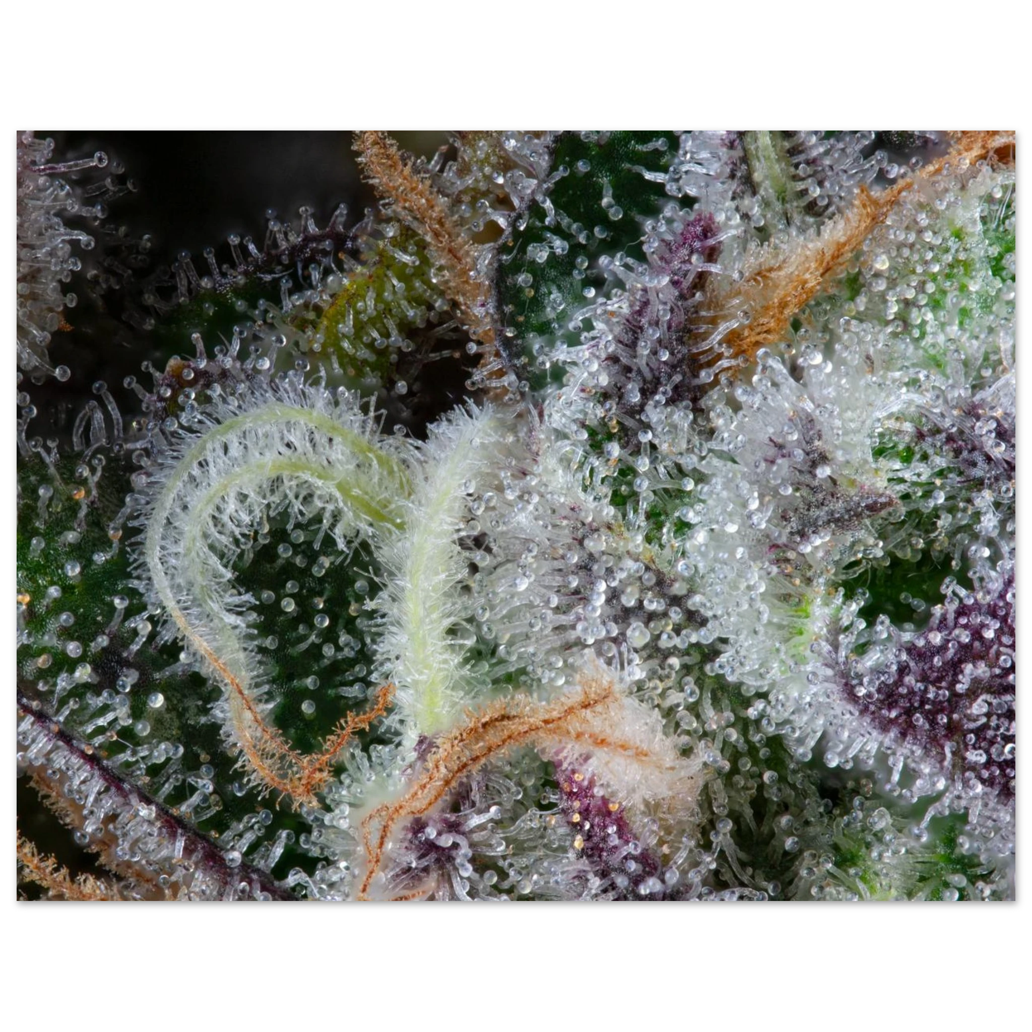 23506905-378c-4cd1-80b5-9fb00d45046c