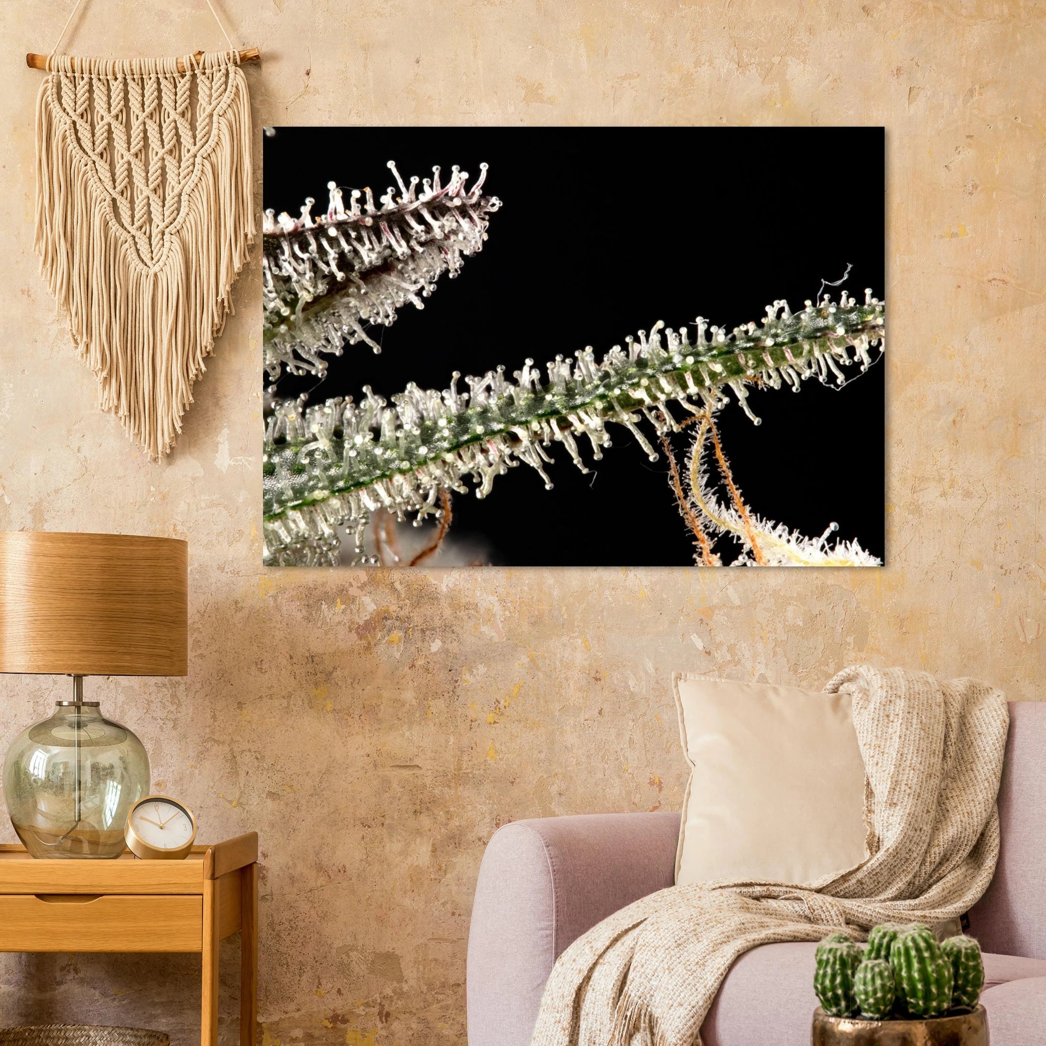 24efe358-d759-44f0-8a73-39c739dce51a