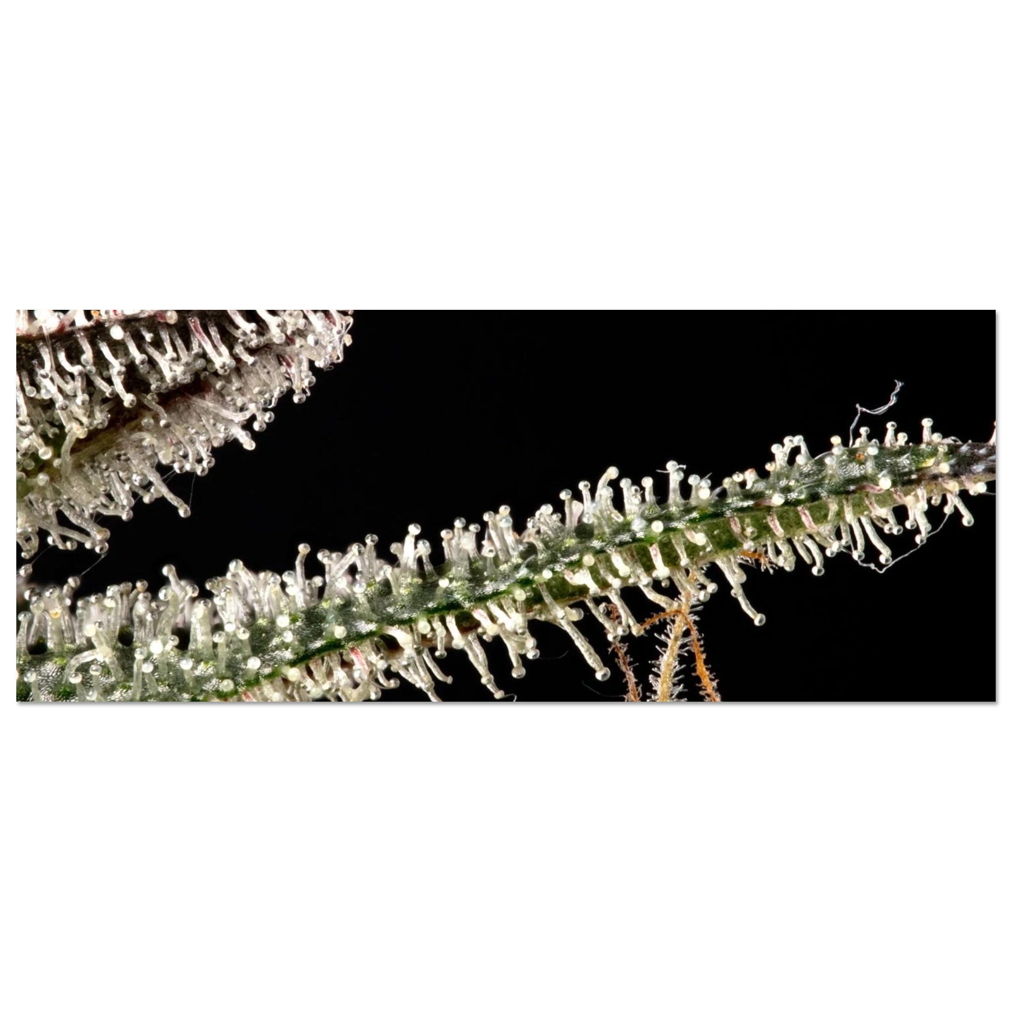 27870185-efdf-4f57-ac57-54577416a2af