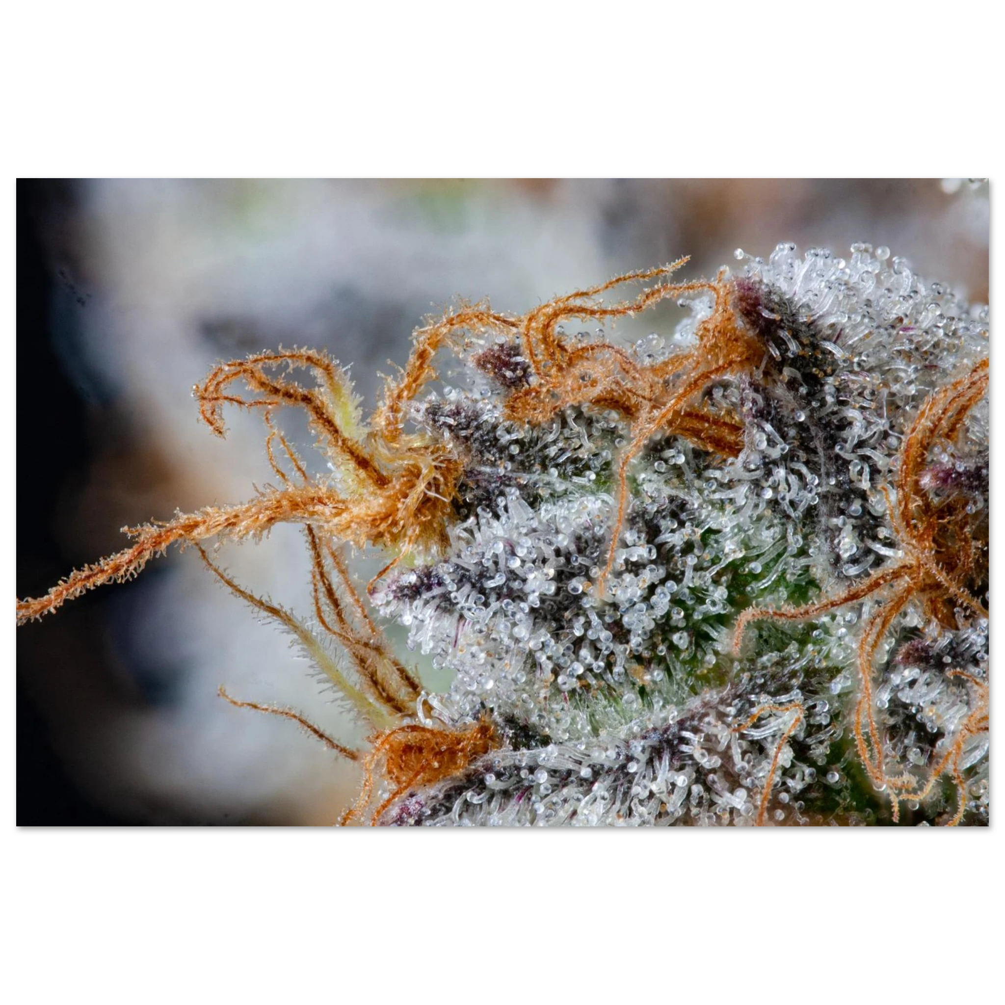 2b5dfab9-8059-43e7-aa0d-f025f5fe3a84