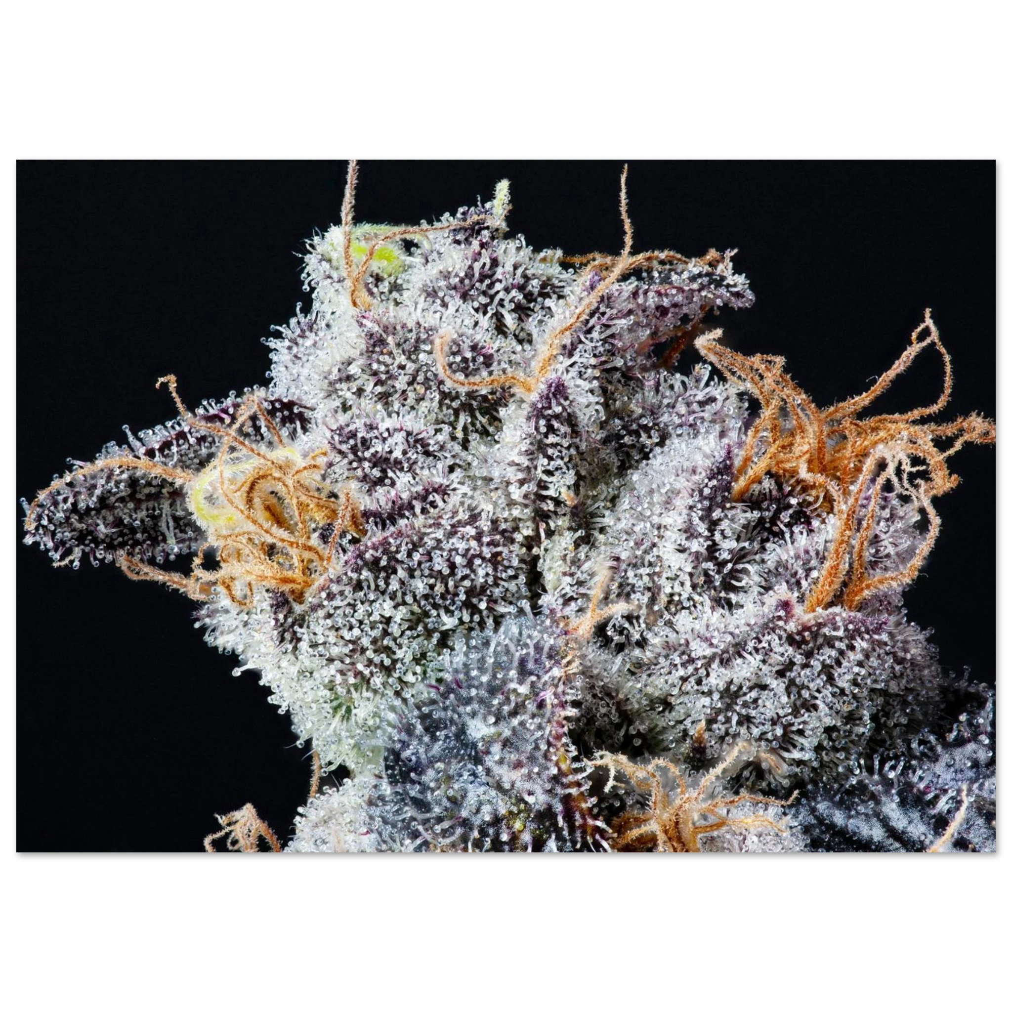 2b84058f-3cb0-4dbe-b843-b95028350aba