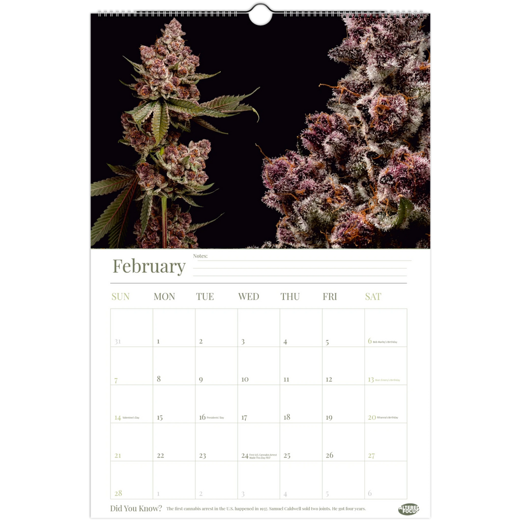 2c71c3f4-145d-432e-bdda-fde4988ea5d4