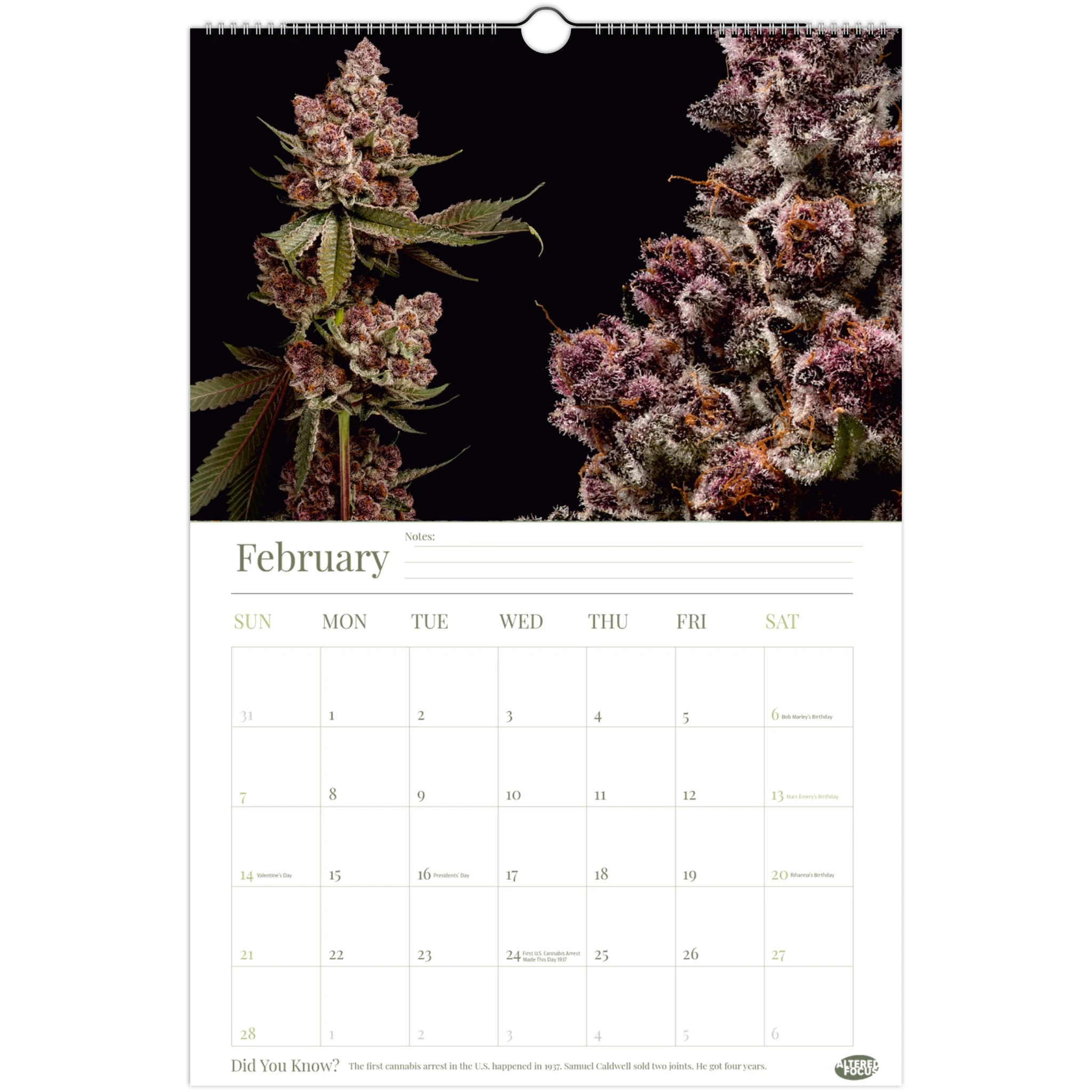 2c71c3f4-145d-432e-bdda-fde4988ea5d4