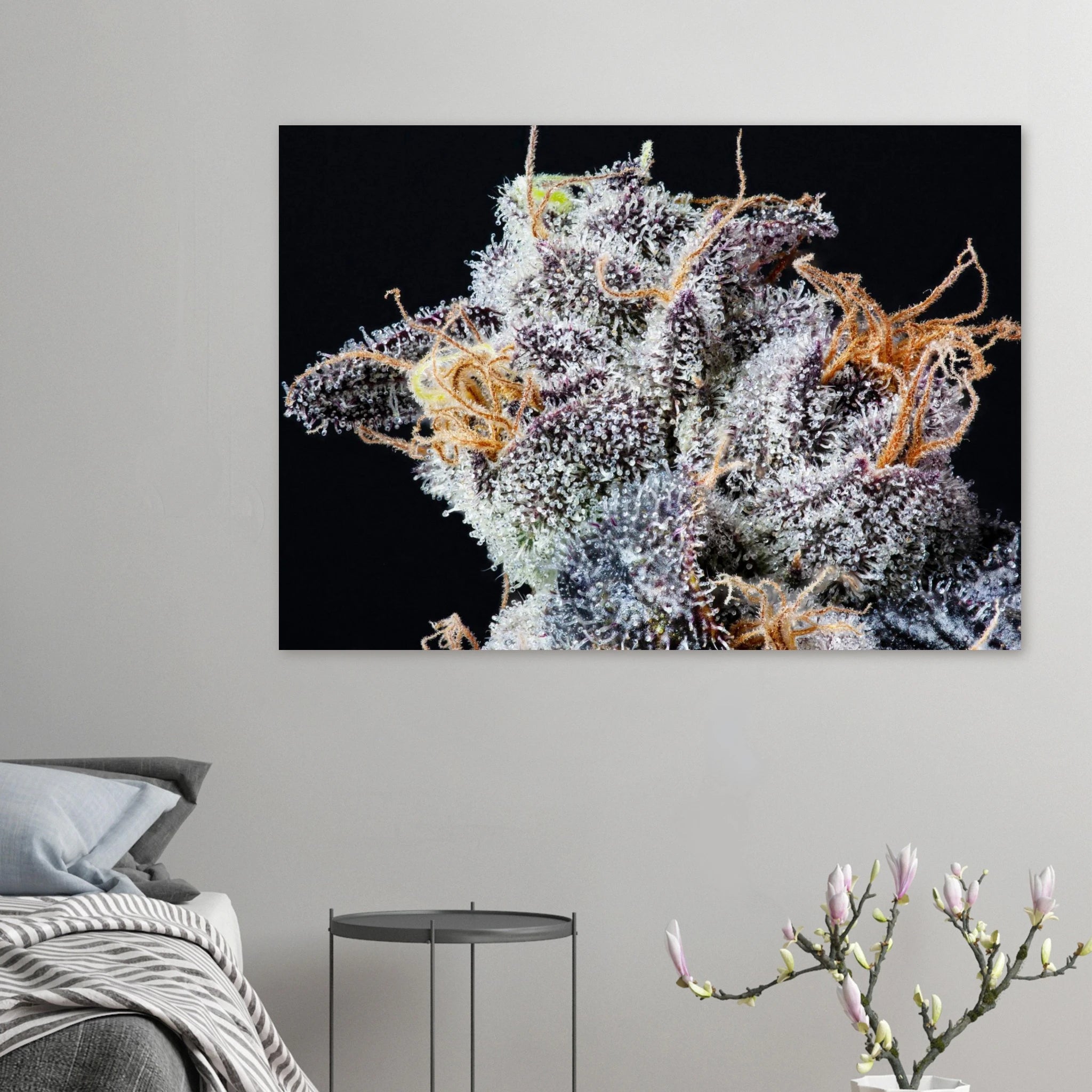 2e59c9ab-2856-4cb0-a1a8-908731bc5bb4