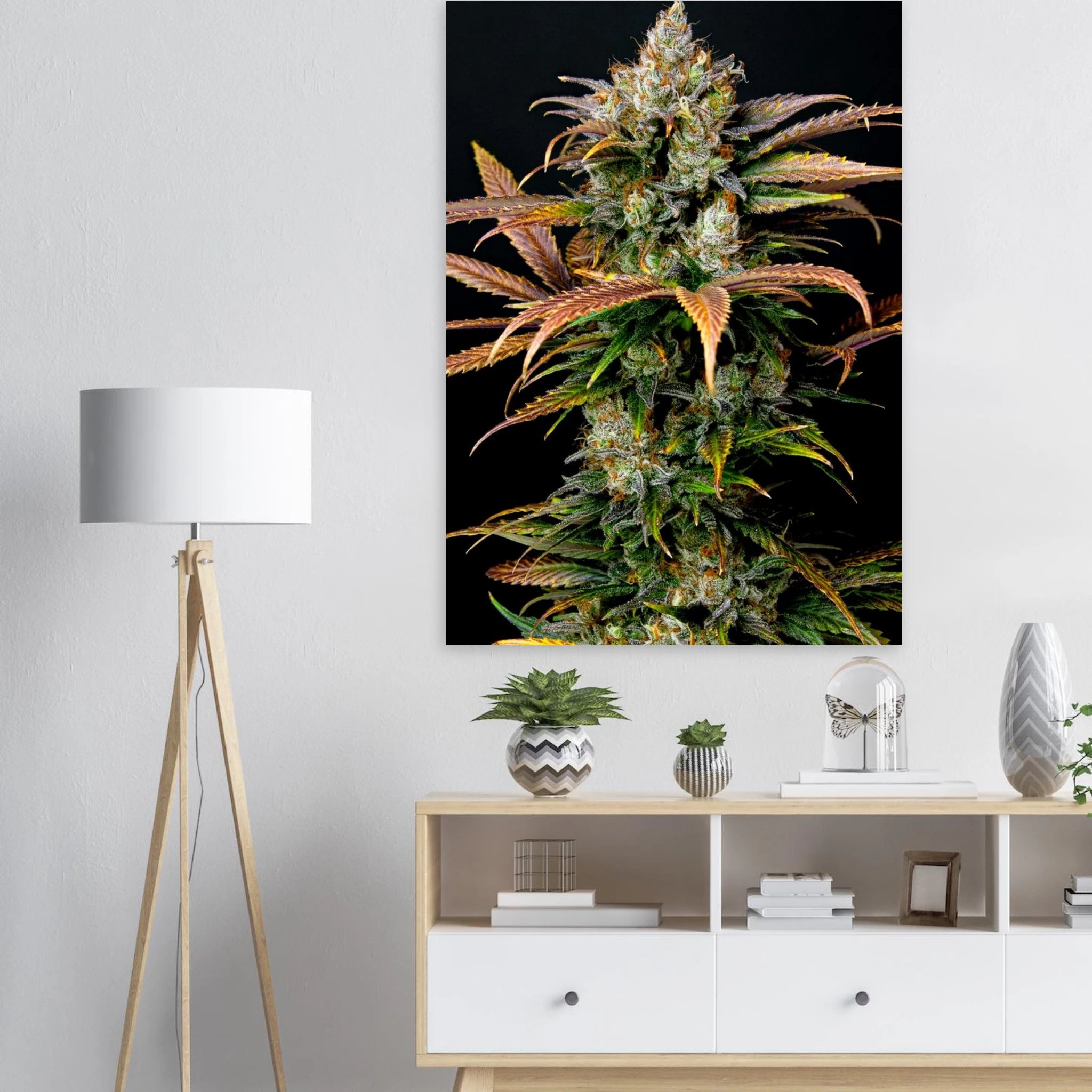 30851d09-f272-4410-83c4-5cd21ea5206e