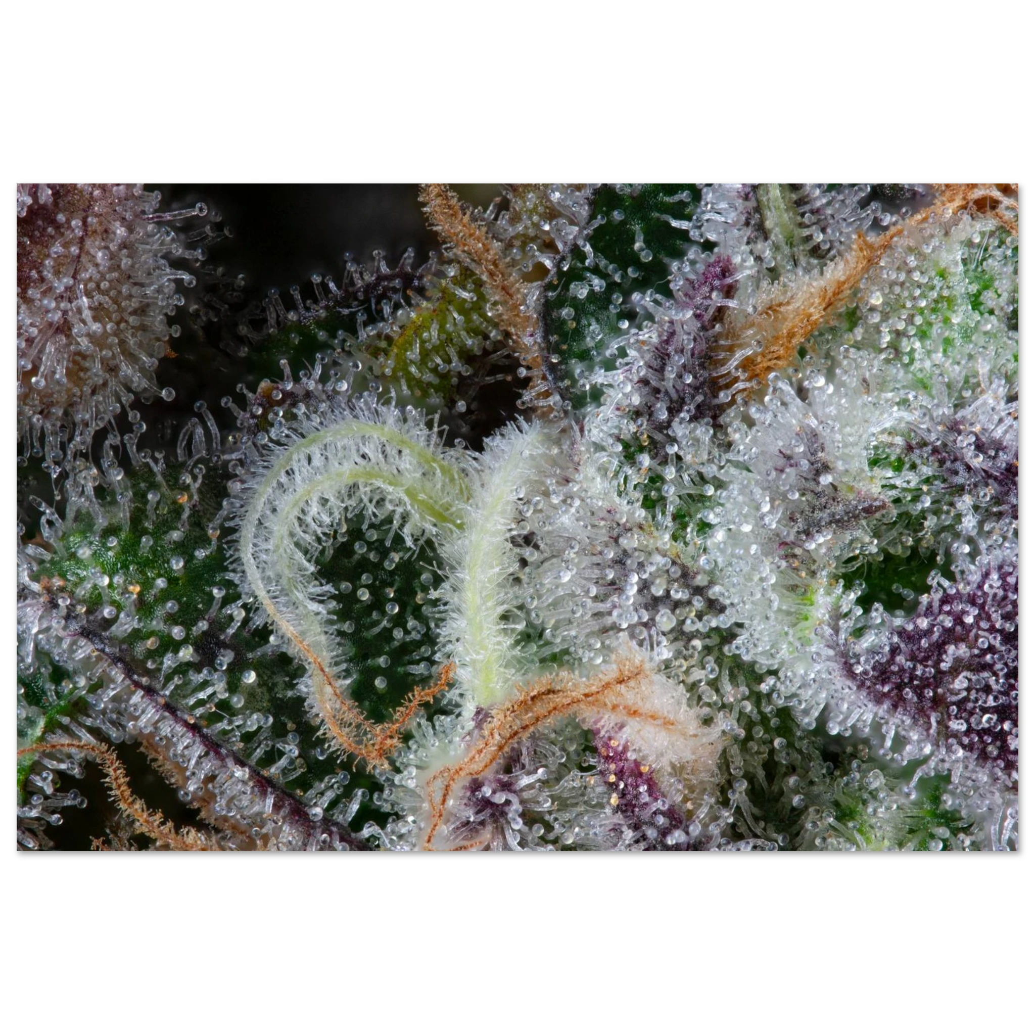 30dace85-907a-41c0-9eee-d6086bd7a5db