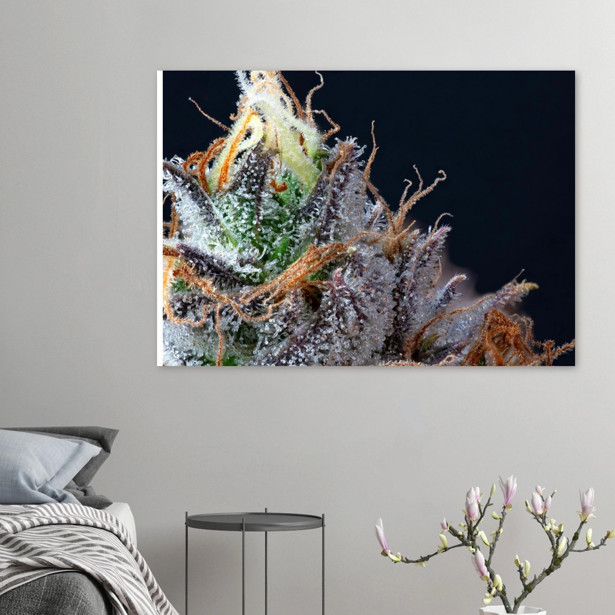 33754686-4d9f-4c72-a460-6aec4c6269f0