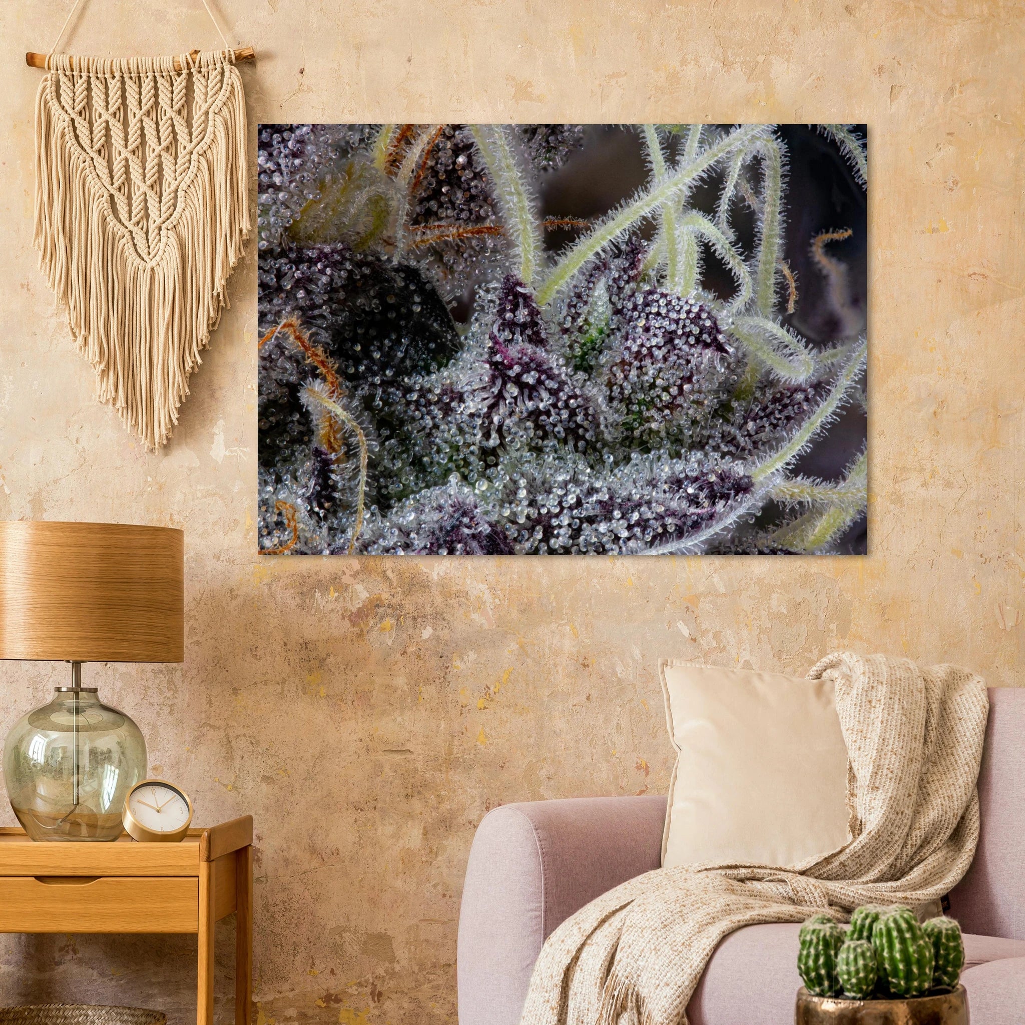 35d435c4-f2f0-44fb-b218-c747e4553387