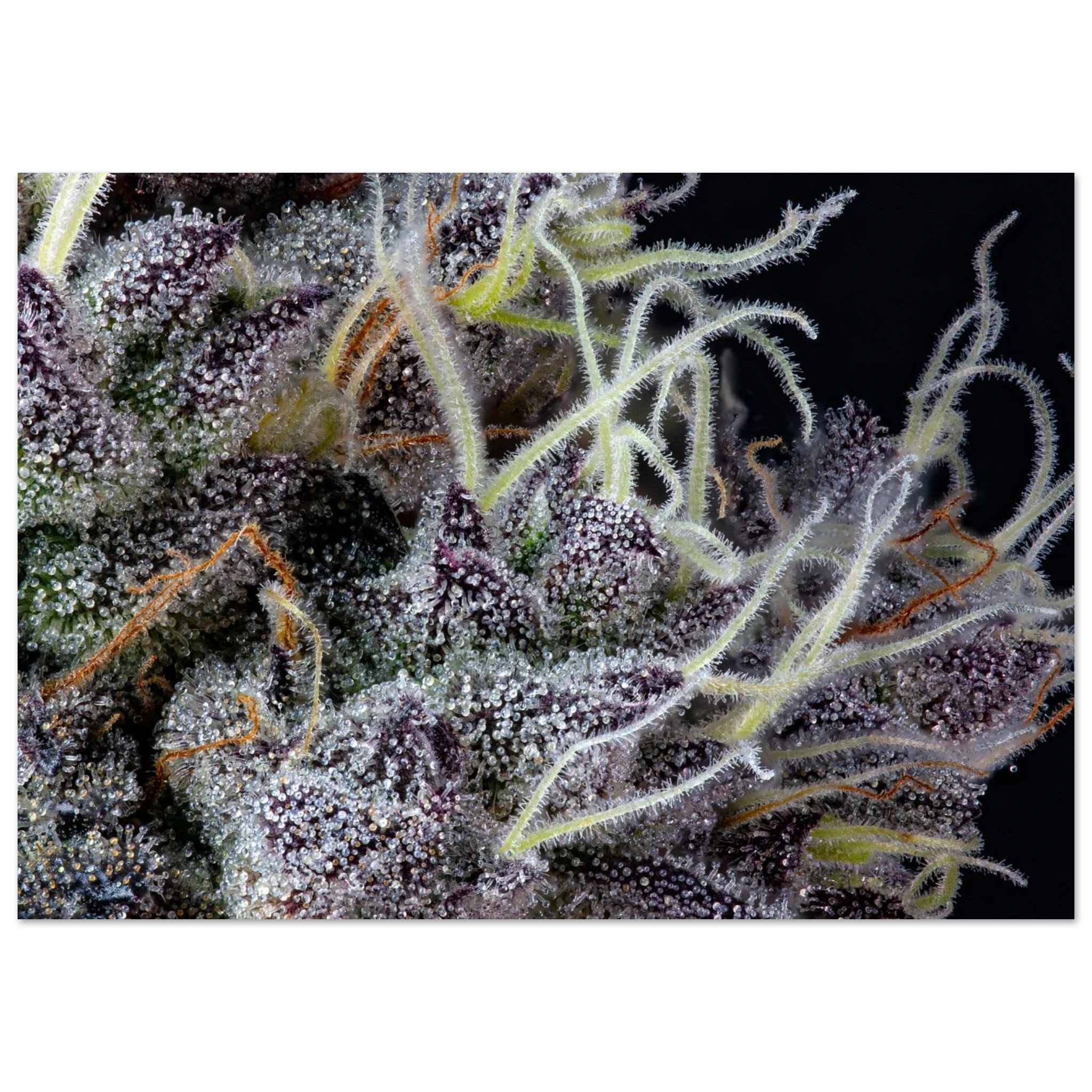 35de3f85-5b79-4664-b916-f92f518a06f8