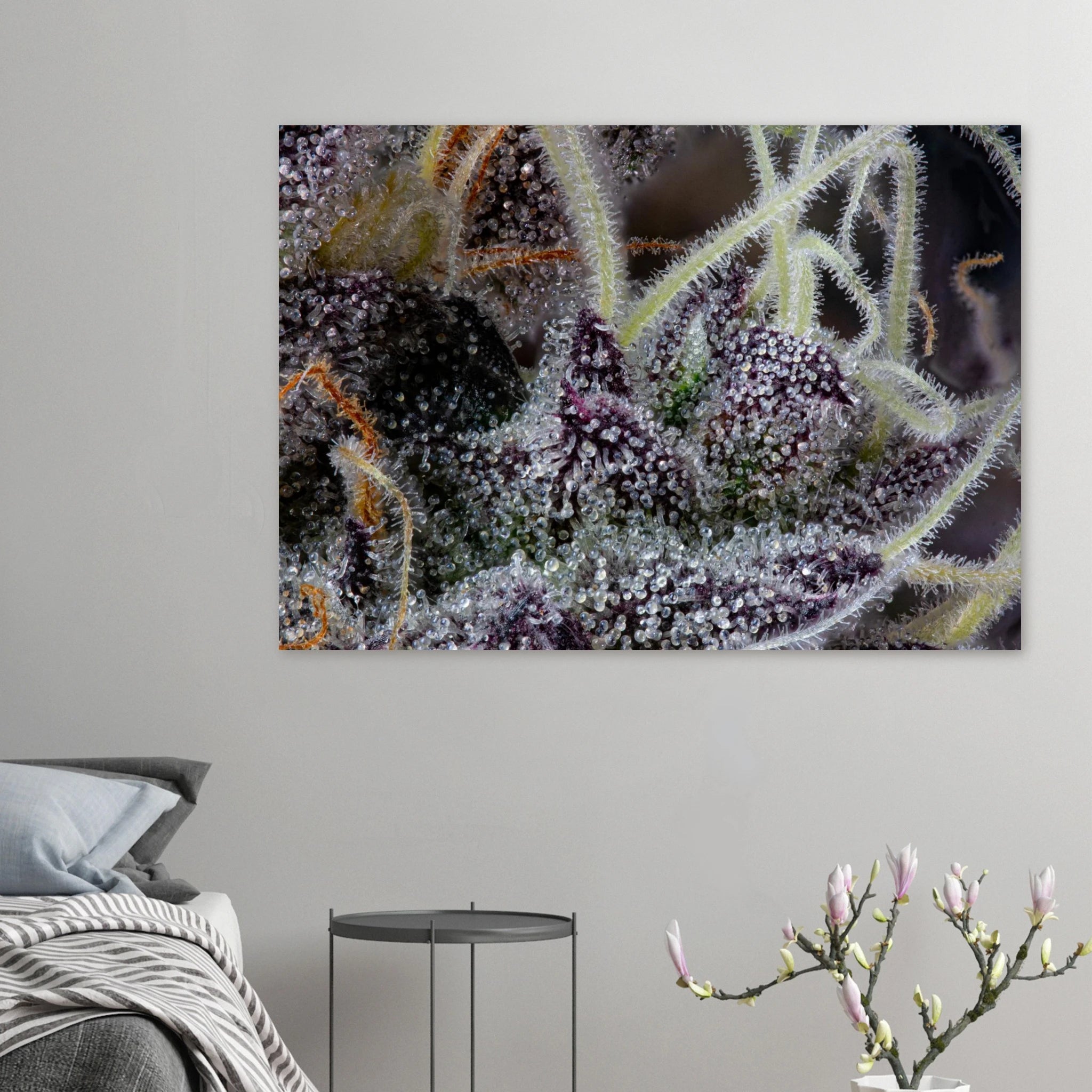 373cfa0f-03ee-4445-b4a7-d9273cfa821c