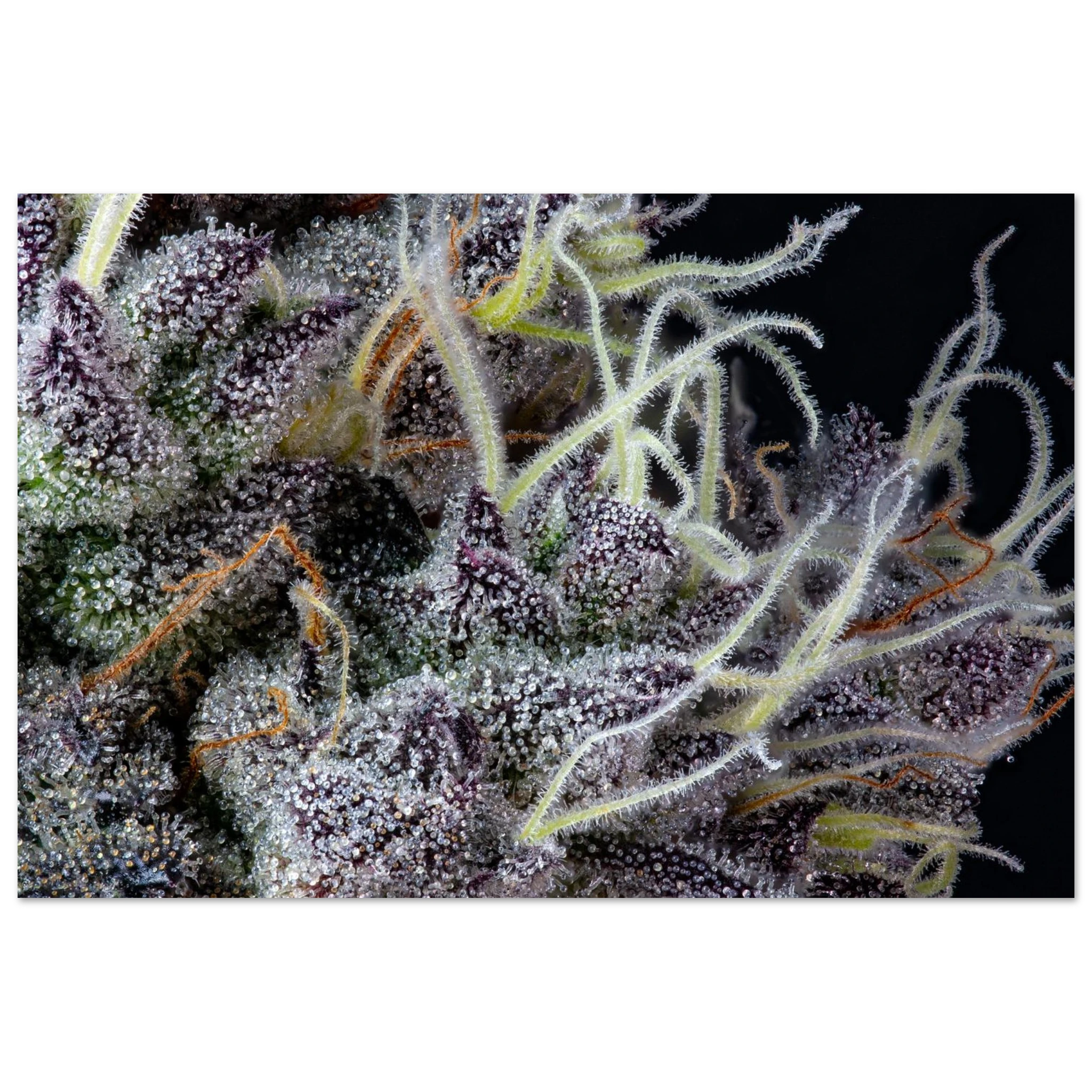 3ab98814-4a45-40f0-a24d-f044192ce16d