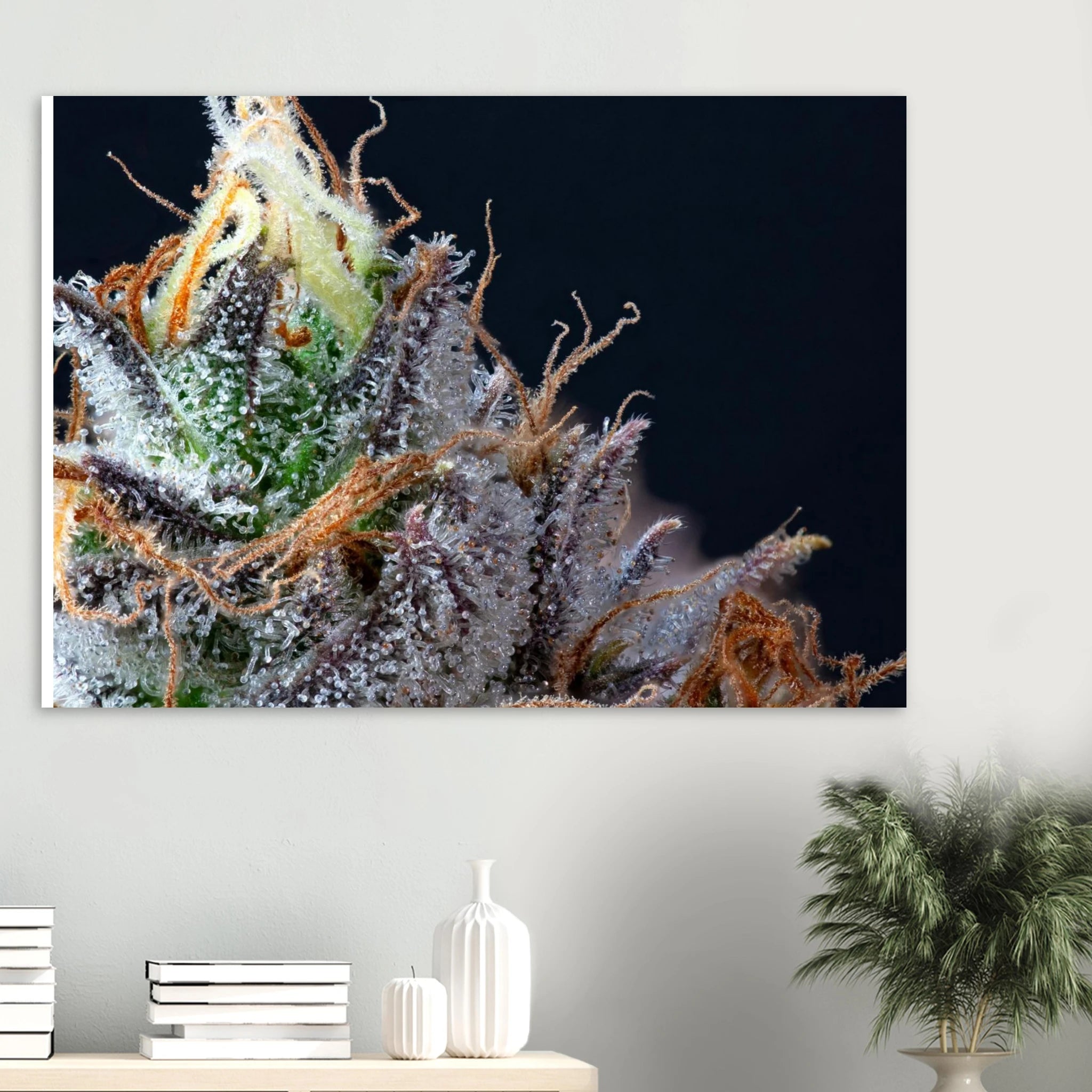 3b2f7793-7c4d-4c12-8e2a-f43a466e6c7d