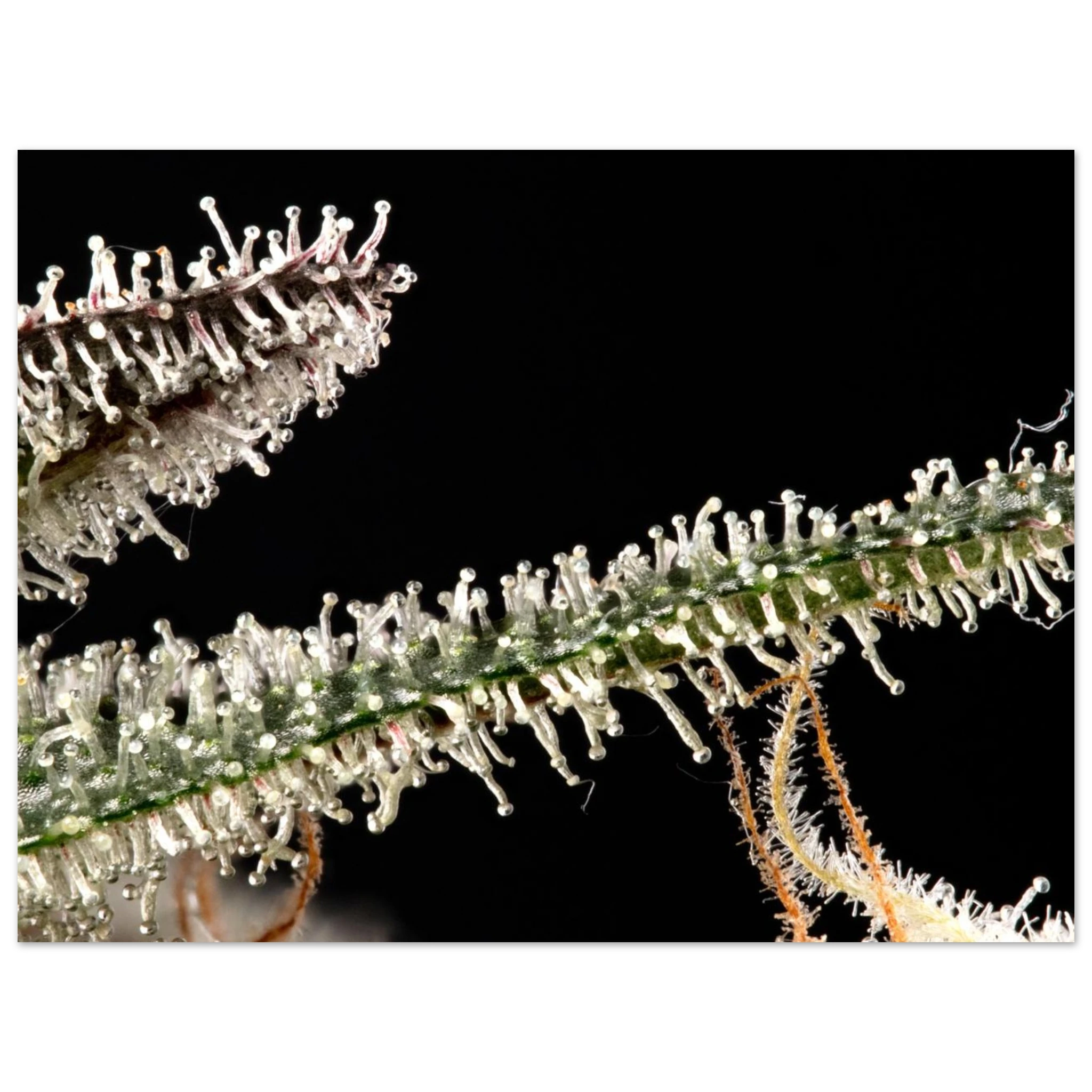 3c9af480-5a53-414d-9ca9-8167f97bbbf5