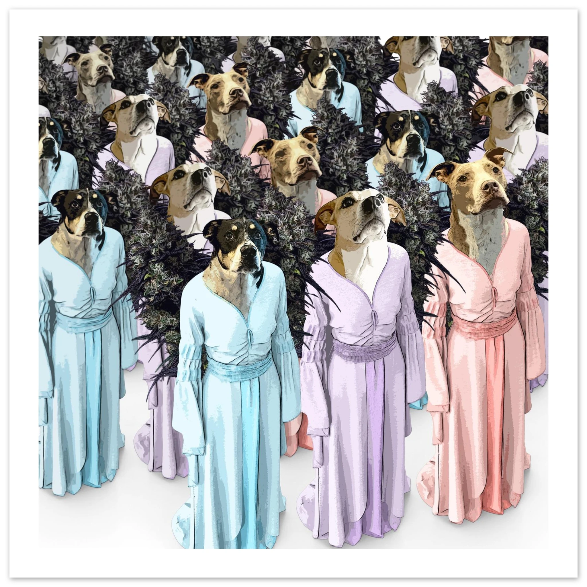 3ca29cff-0991-4ed8-9de1-6411a7b19e06