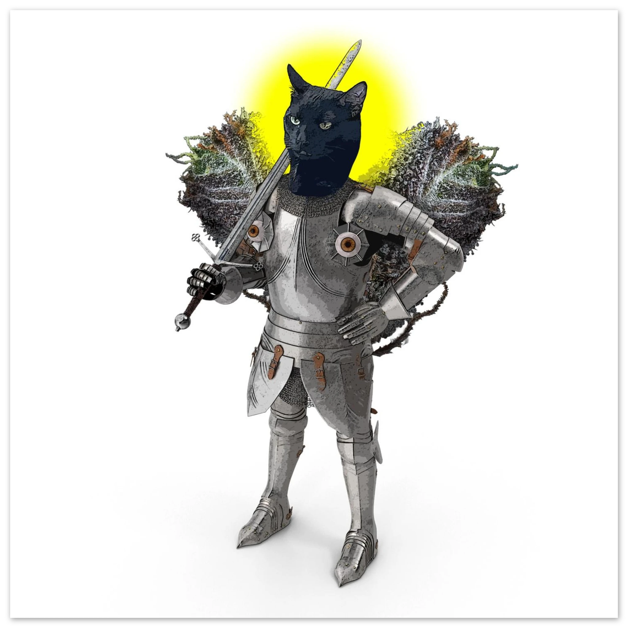 40e54c44-b3da-429e-94c1-645849b6976b