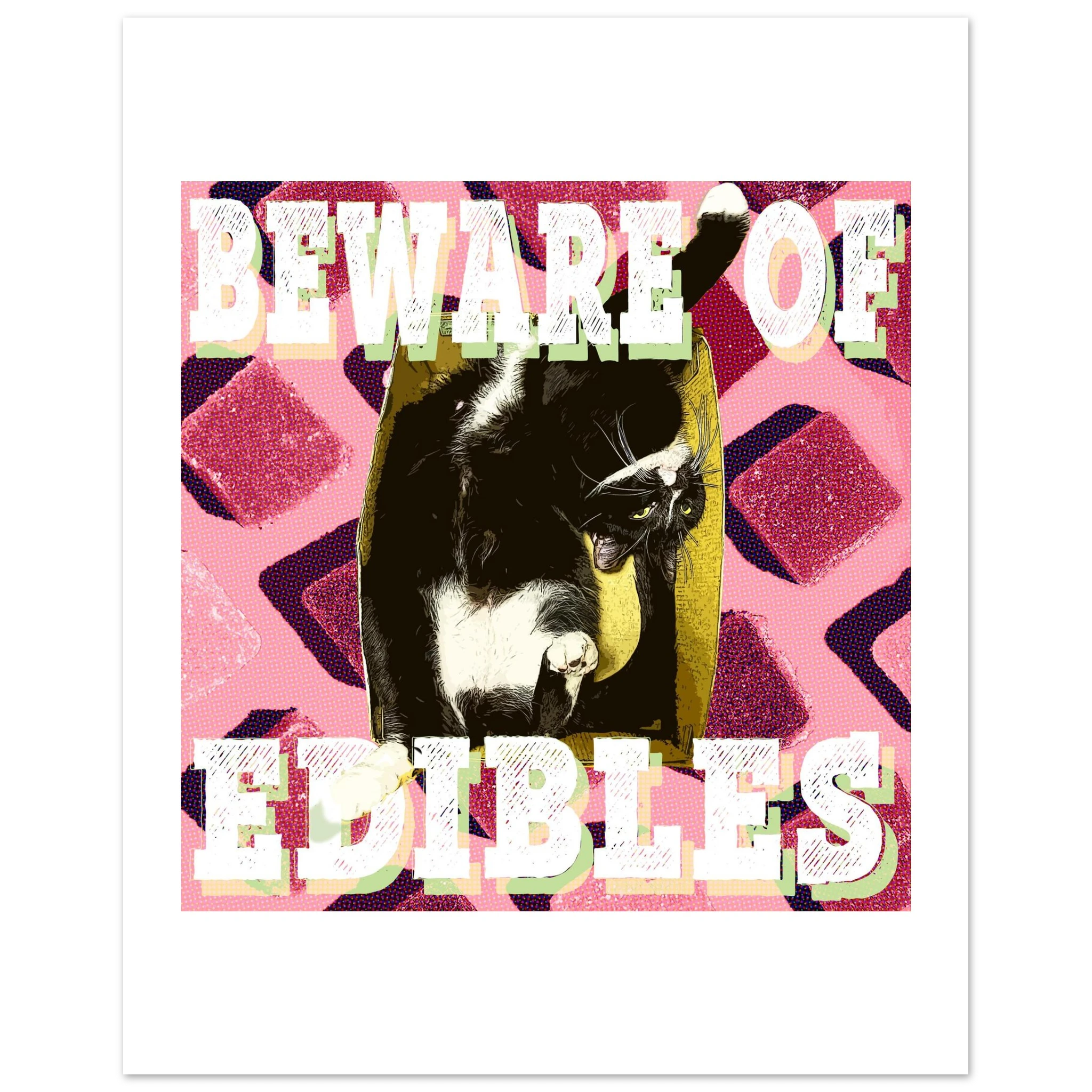 423081a6-44ca-4f21-b3a9-3a7d7dd98569