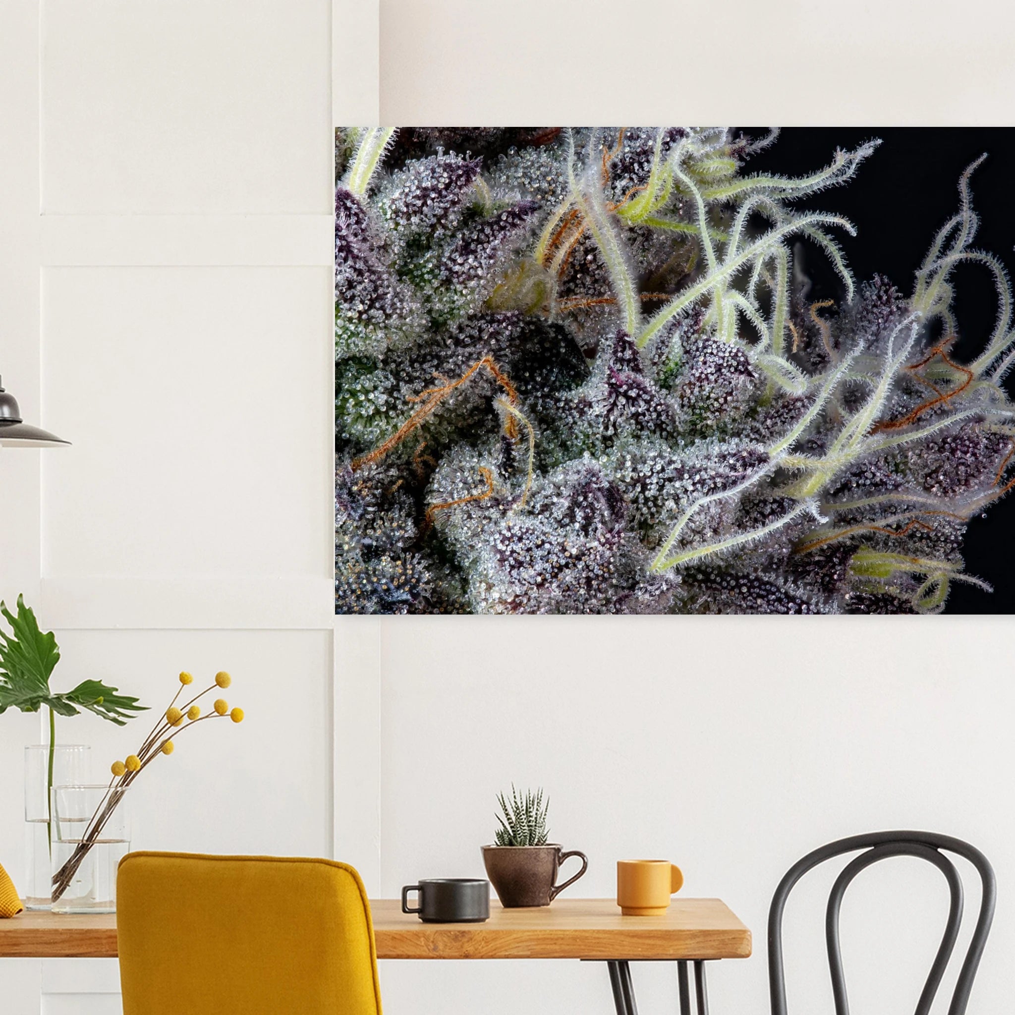 42a51ec4-863e-4397-9fad-9339de90893f