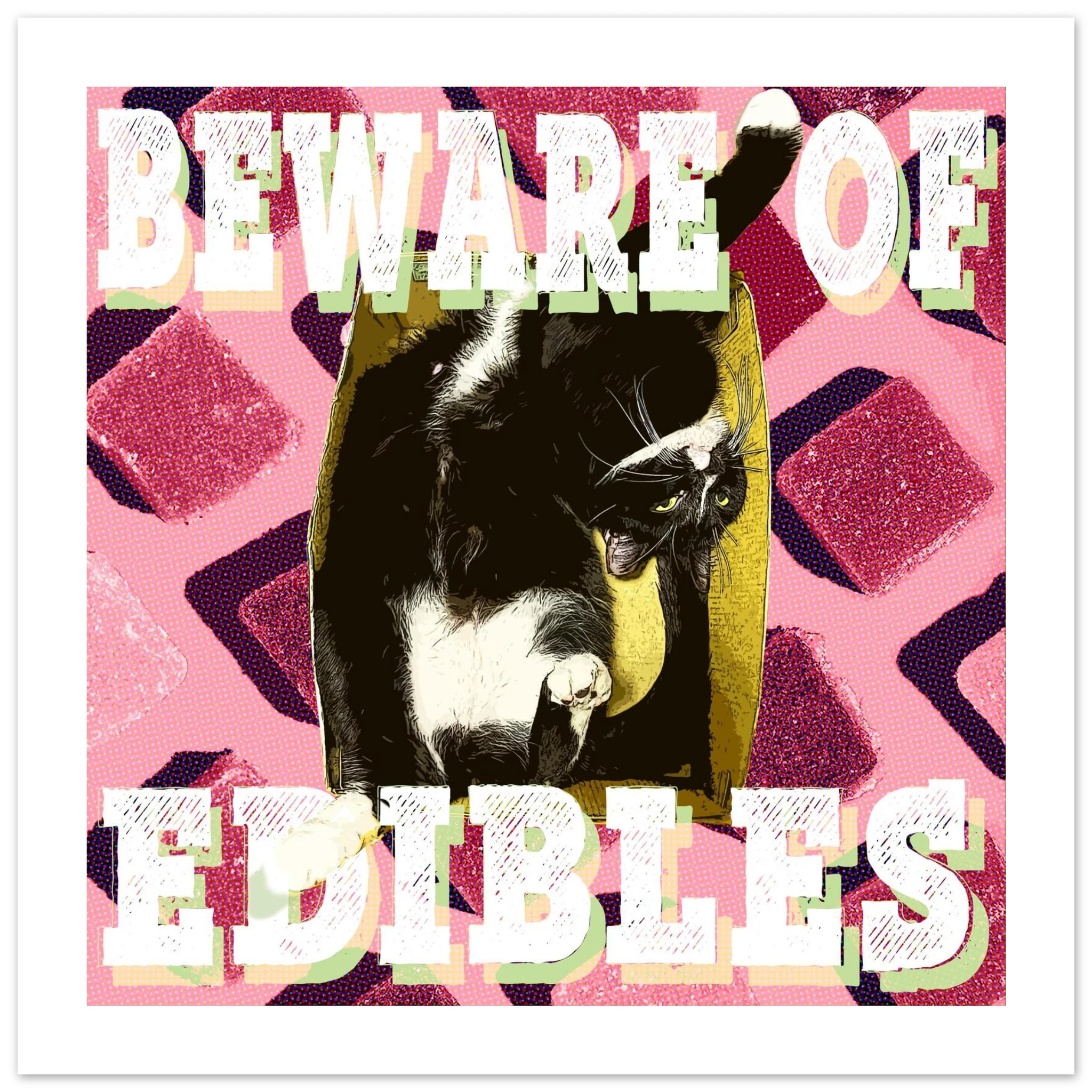 4434262a-1af8-460f-872c-5512c0fa7ca4