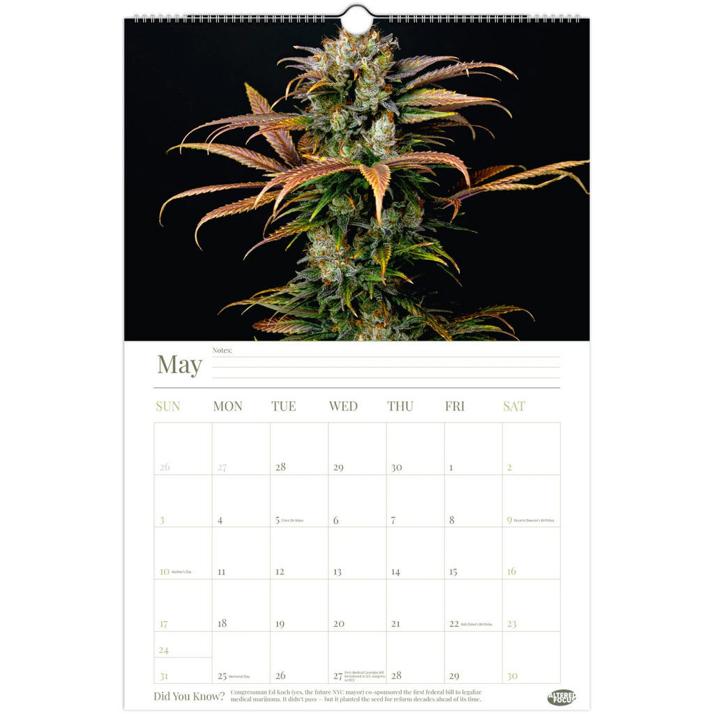 4450f685-0fe1-4ef4-9f98-1c753df0abb5