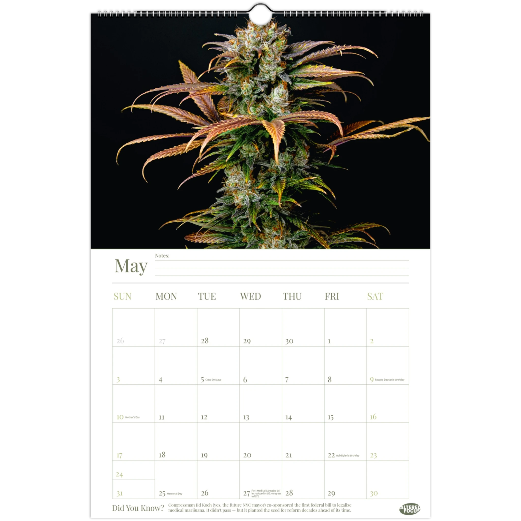 4450f685-0fe1-4ef4-9f98-1c753df0abb5