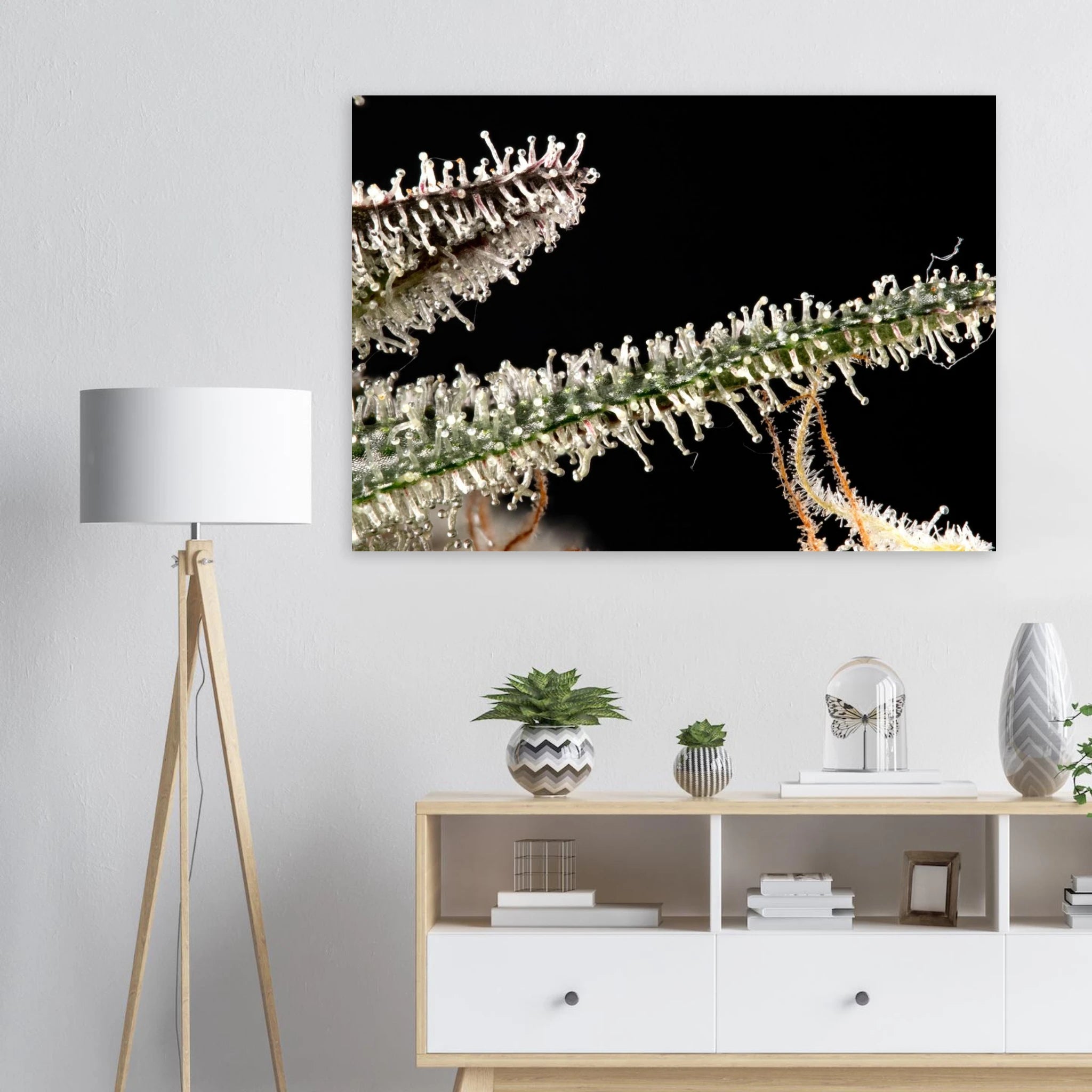 447beb85-6fe1-444b-a111-14b853bdda89