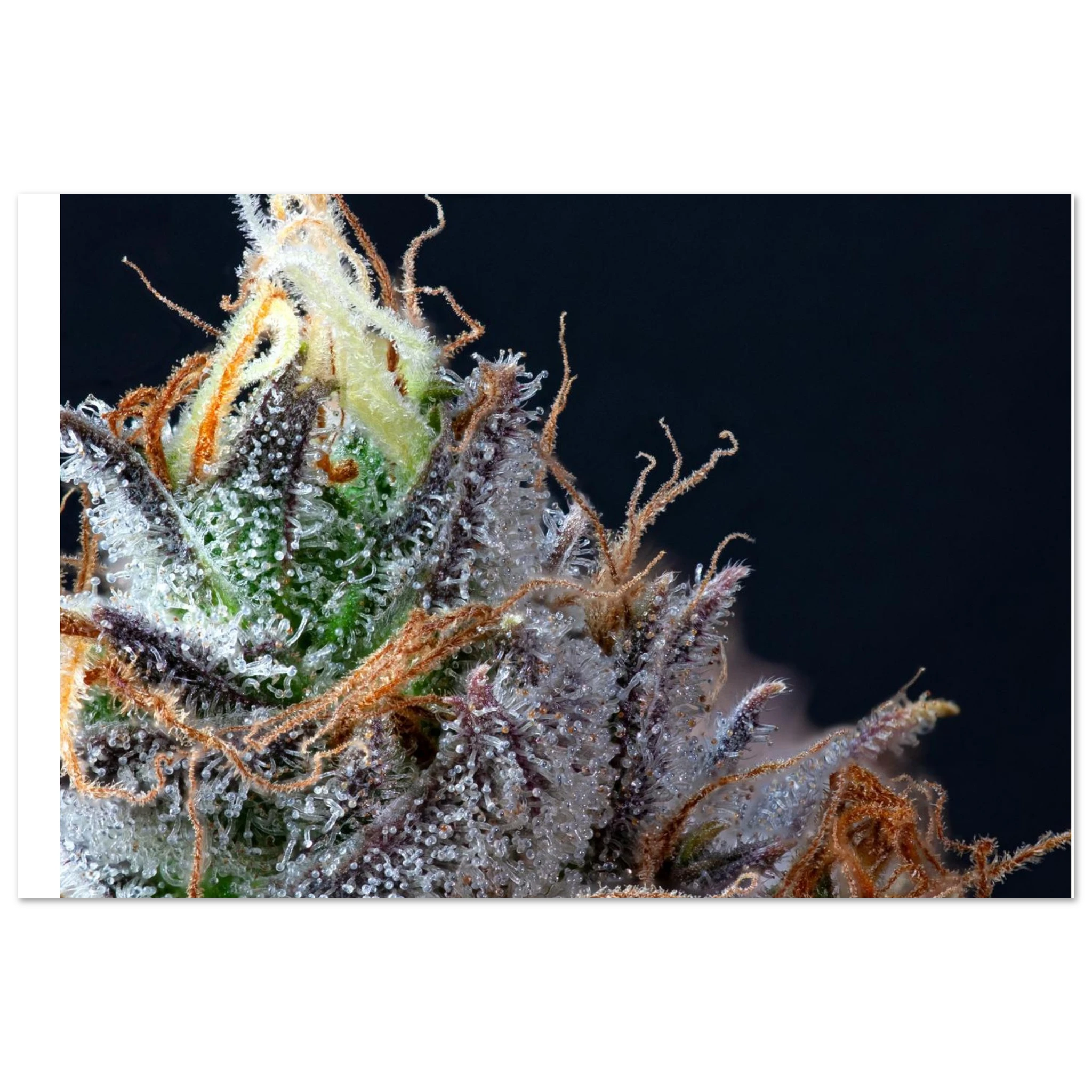 47b90947-e5d3-4f4e-9403-048be11fc954