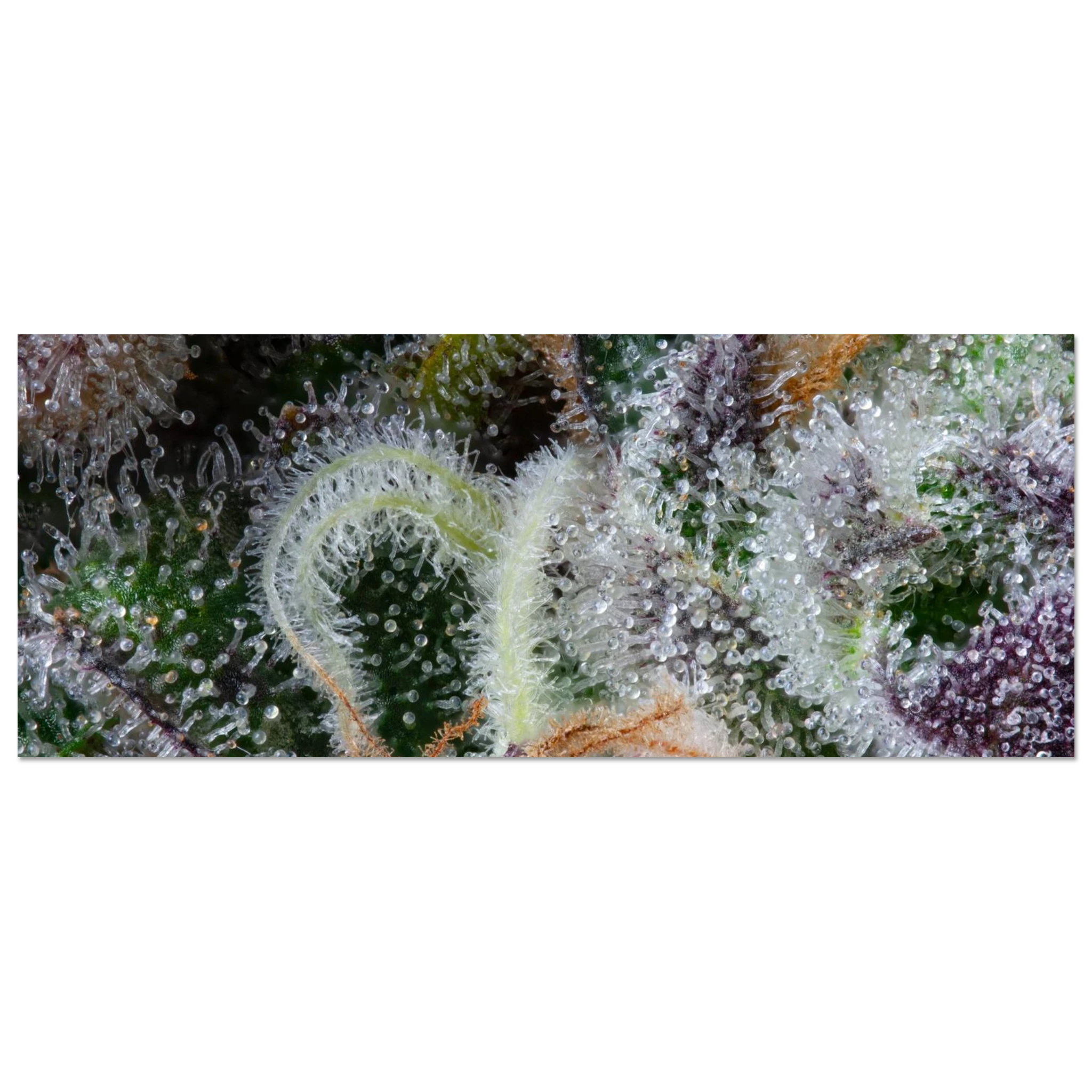 48546551-55cf-4ca2-a12c-4618a72969fa