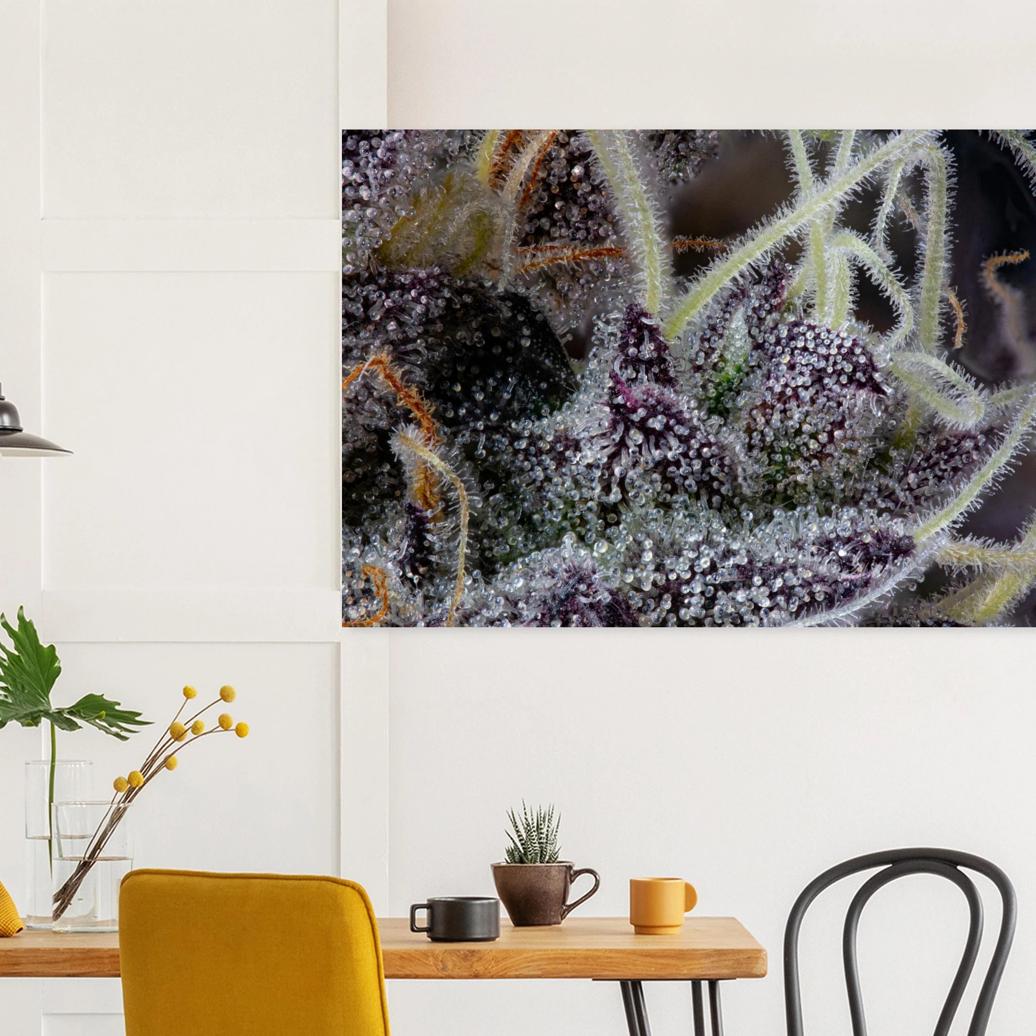 497e90f9-28c0-4779-80fc-151695d8ce97