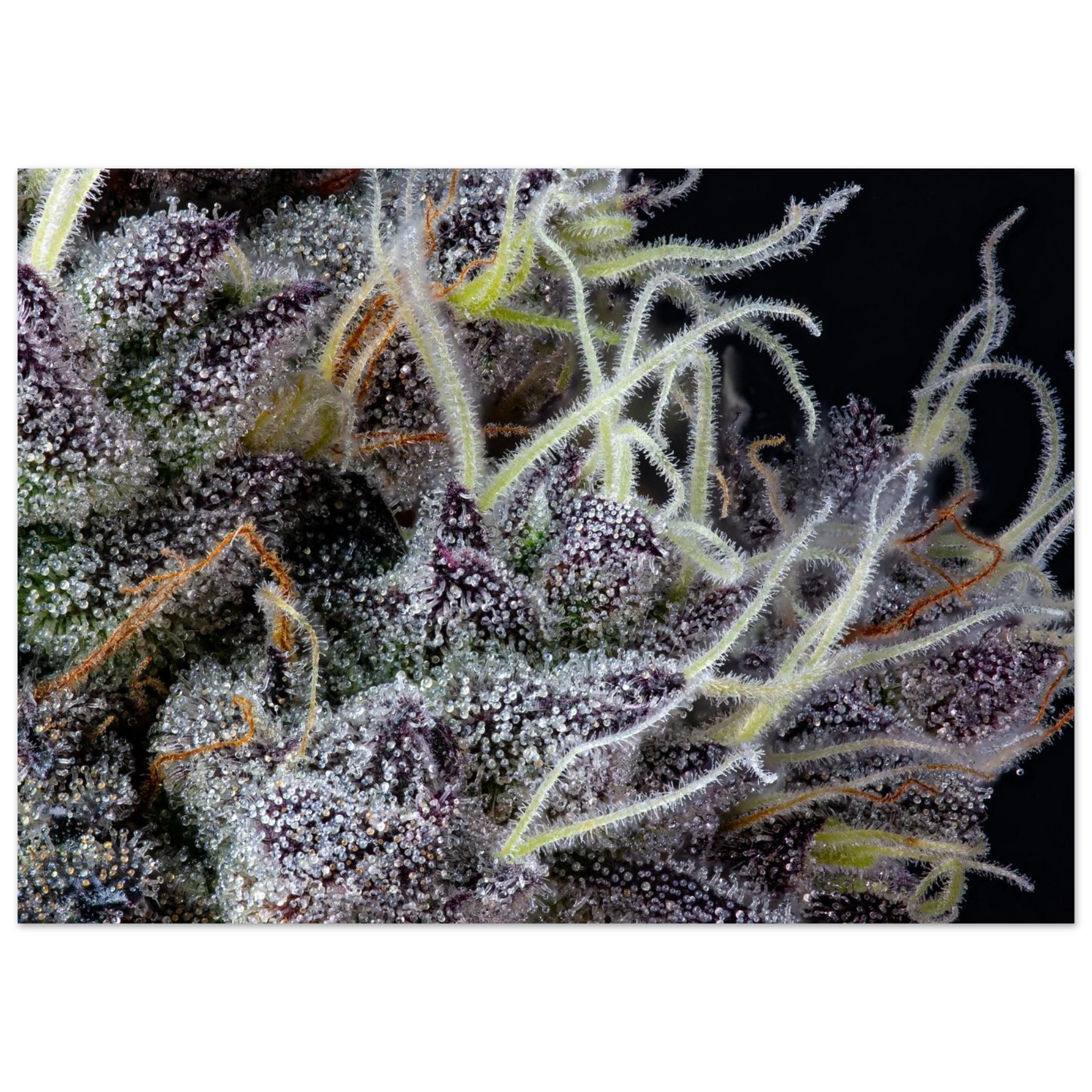 49b7318b-67cd-403c-9398-8aa9a7705d5d